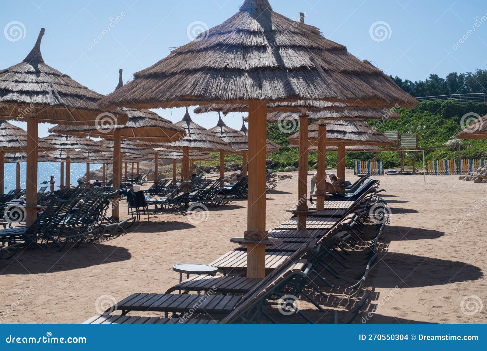 Relax Under an Umbrella on the Beach of the Red Sea, Egypt Stock Photo Image of sand, ocean