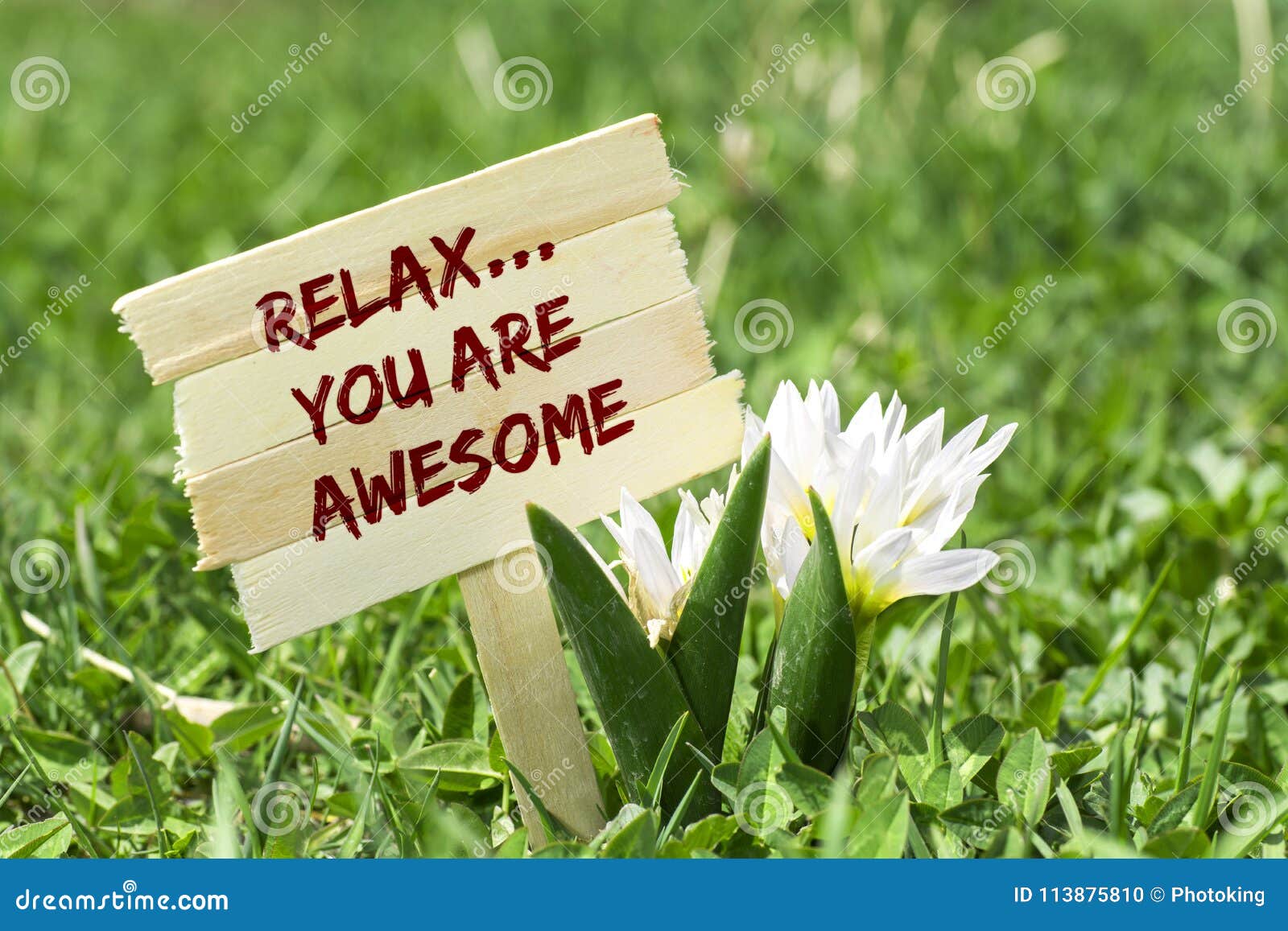 relax you are awesome