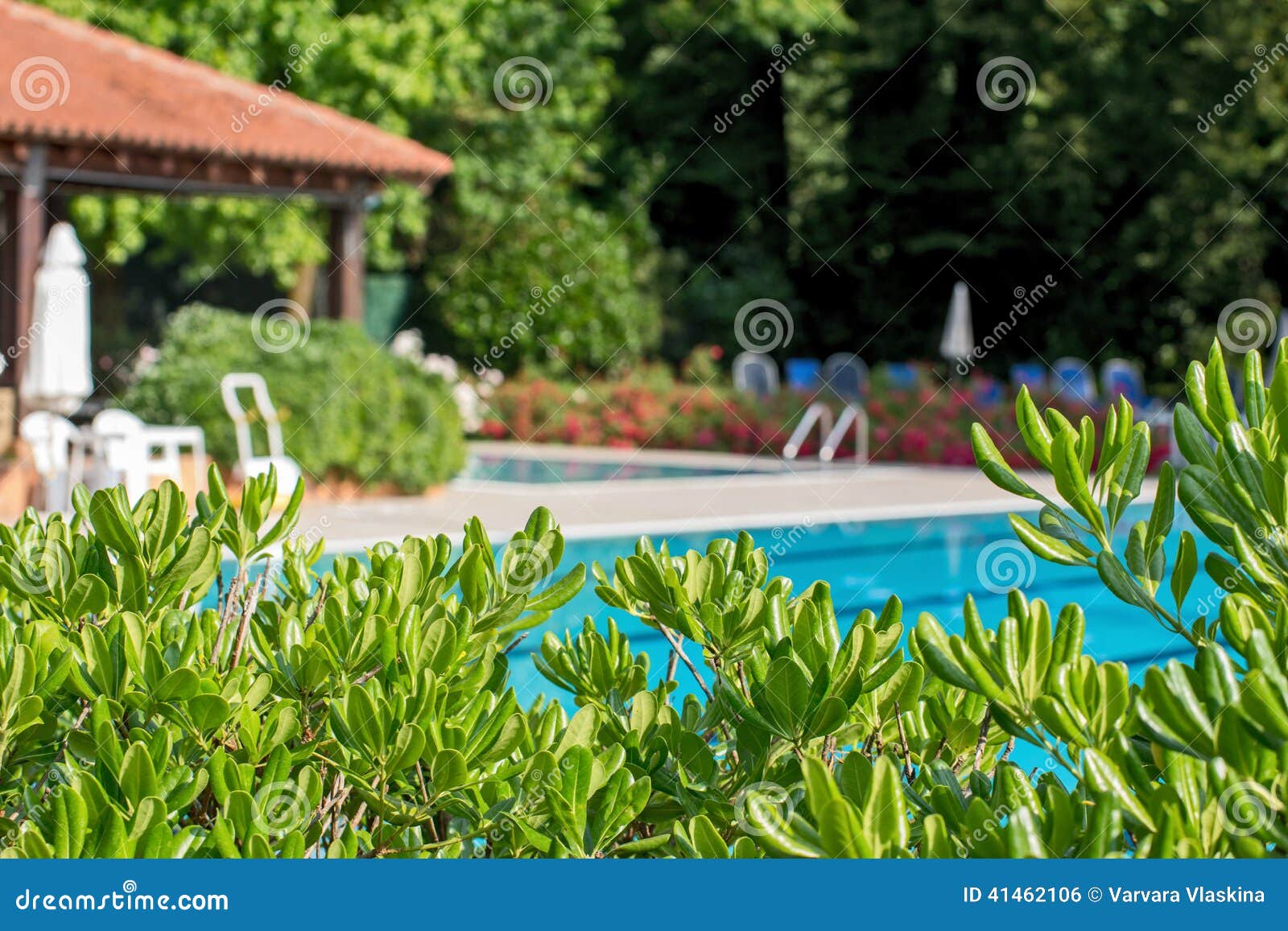 Relaxation Zone with Greenery and Swimming Pool Stock Photo Image of landscaped, green 41462106