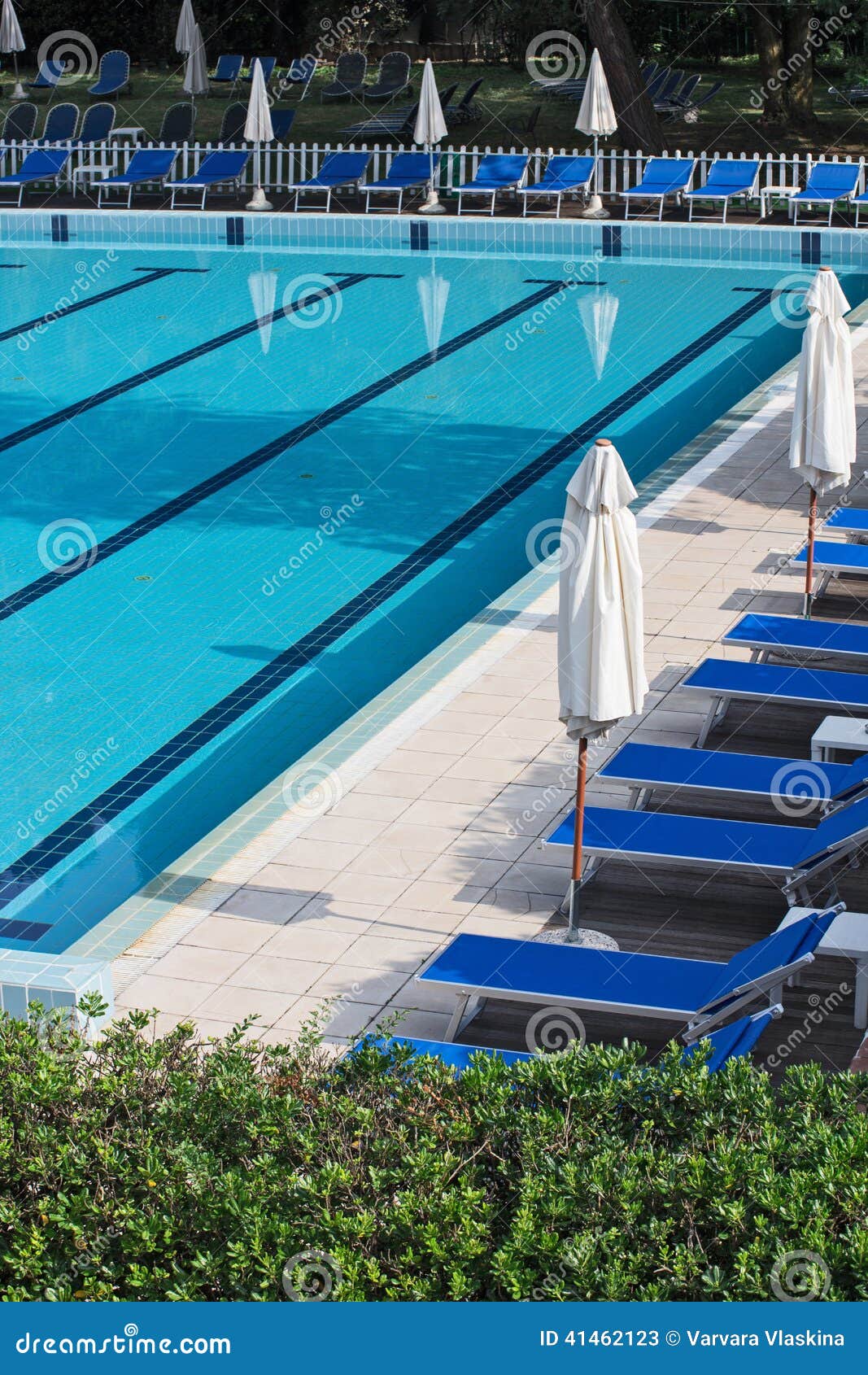 Relaxation Zone with Greenery and Swimming Pool Stock Image Image of luxury, ornamental 41462123