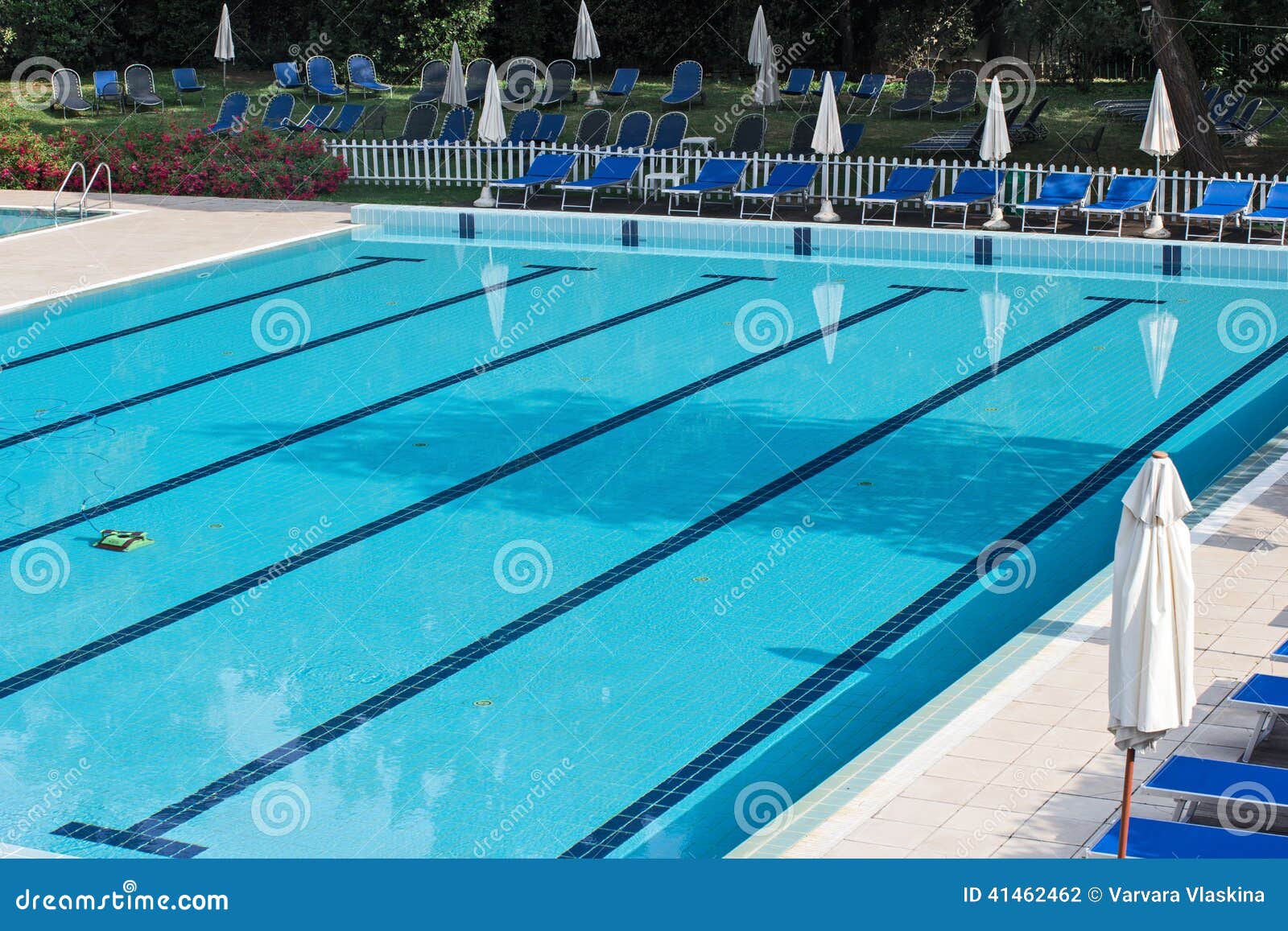 Relaxation Zone with Greenery and Swimming Pool Stock Photo Image of greenery, relax 41462462