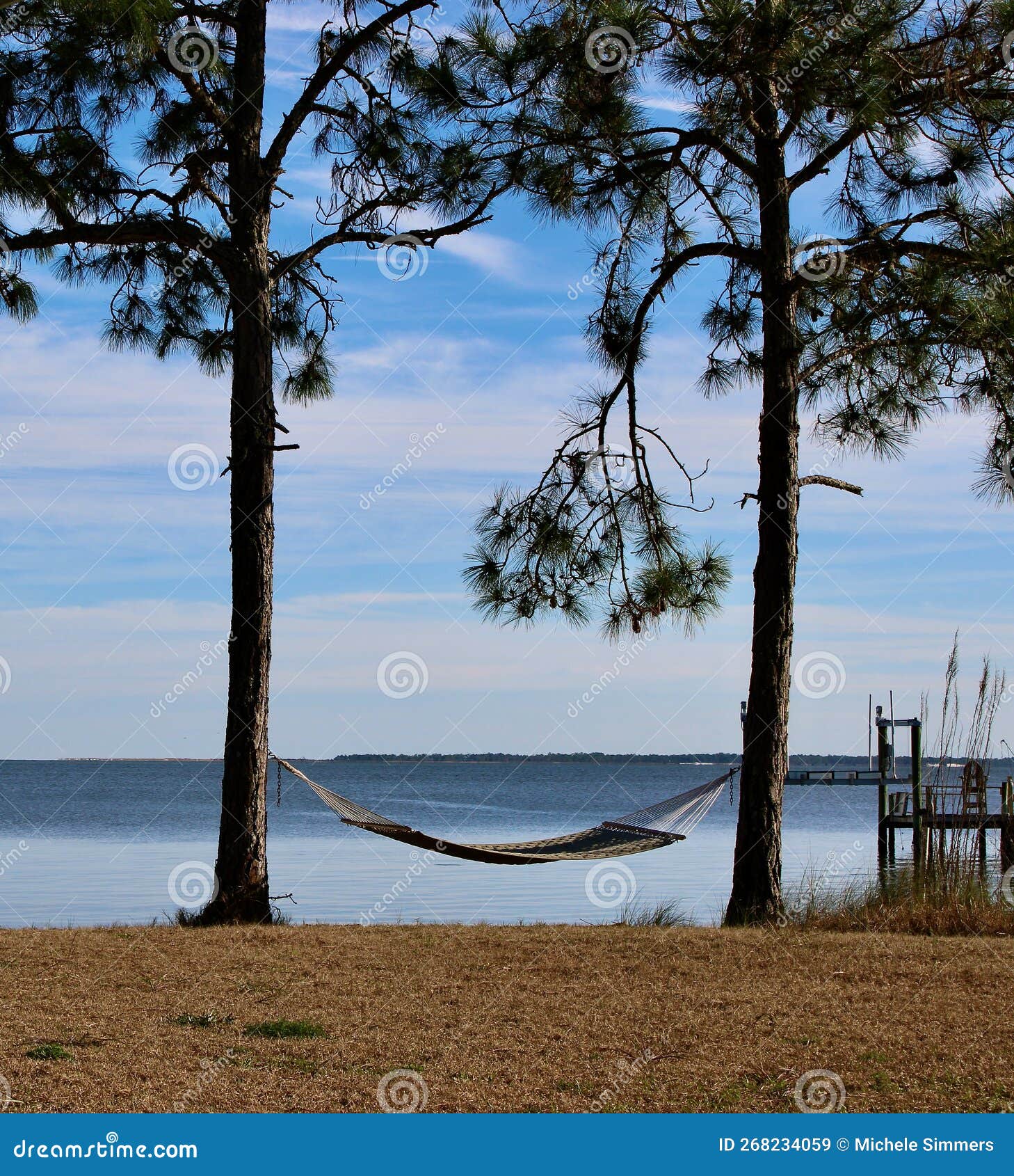 Relaxing at the Beach in Florida Stock Image Image of nature
