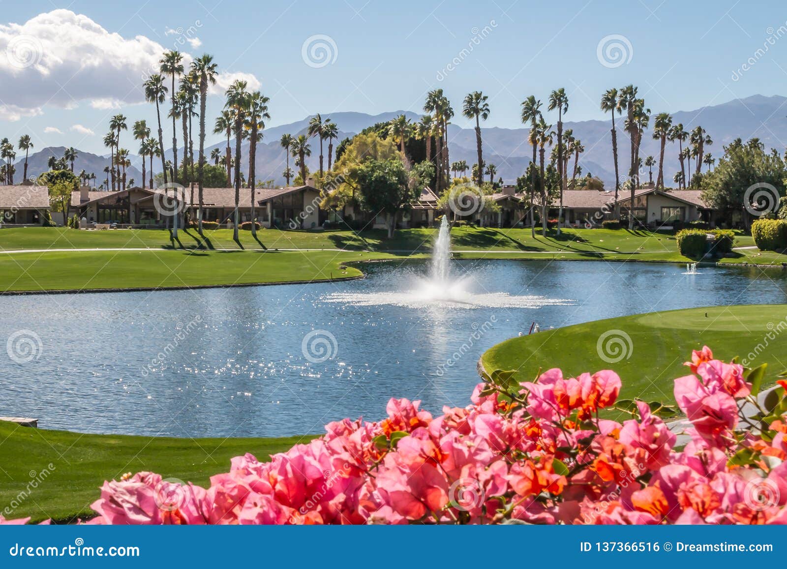 Relaxing Country Club View in Palm Springs, California Stock Photo