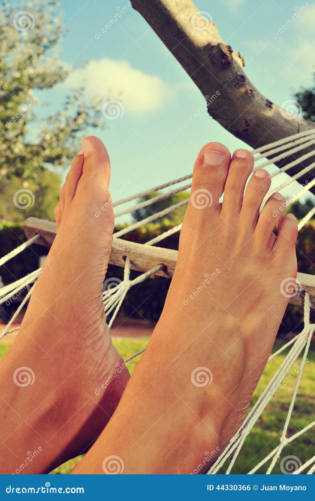 Relaxing in a hammock stock photo. Image of napping, holidays - 44330366