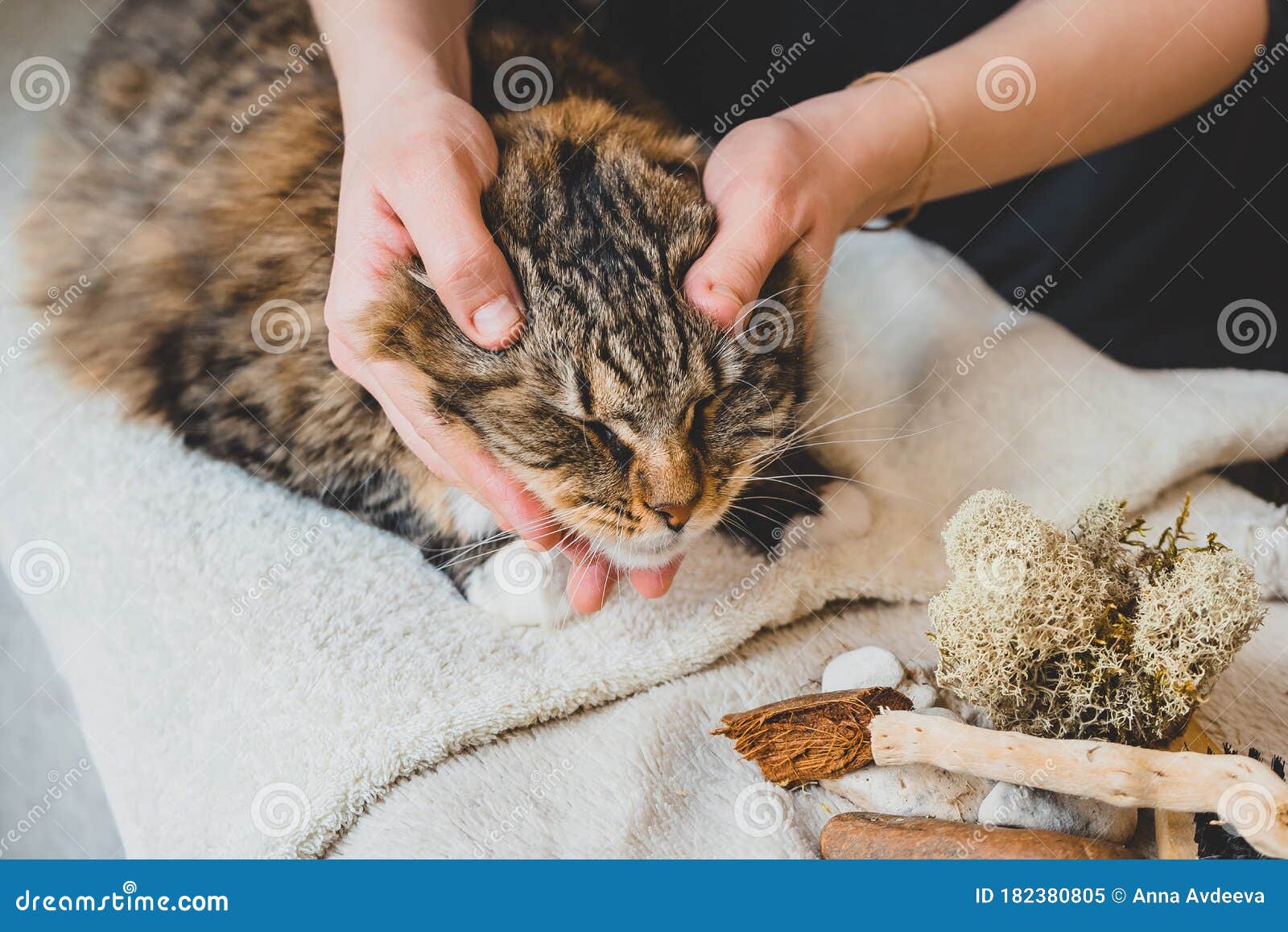 Relaxing Massage Movements in the Area of the Forehead of the Head of