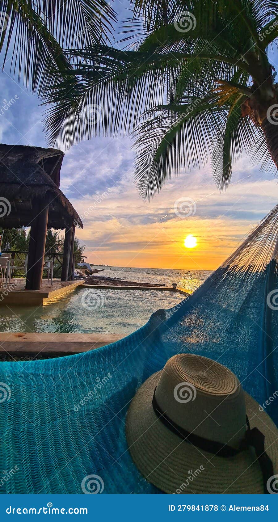 relaxing under a palm tree