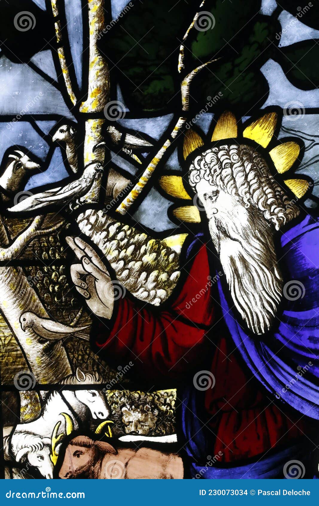 God Creation Animals Stock Photos - Free & Royalty-Free Stock Photos from Dreamstime God Creation Animals Stock Photos - Free & Royalty-Free Stock Photos from Dreamstime