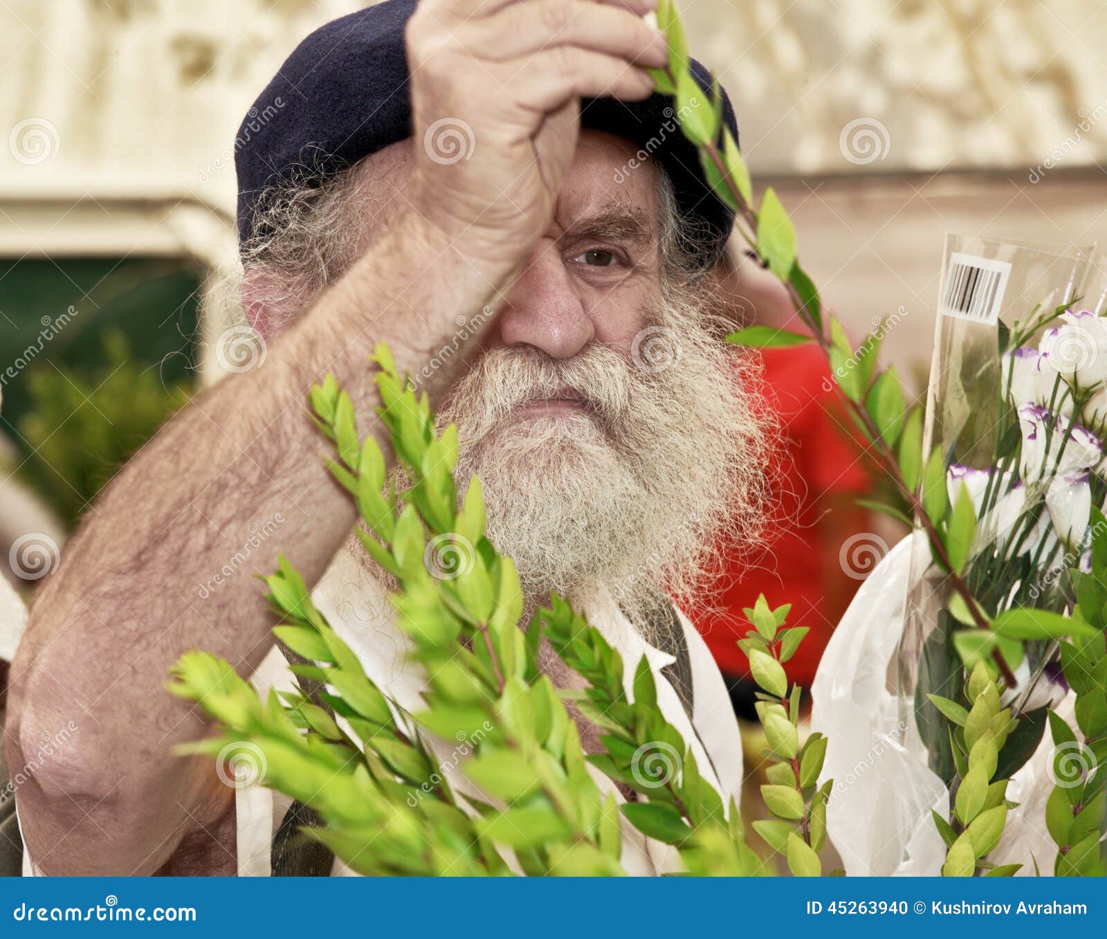 religious-jew-black-beret-jerusalem-israel-september-gray-bearded-carefully-chooses-ritual-plant-myrtle-sukkot-45263940.jpg