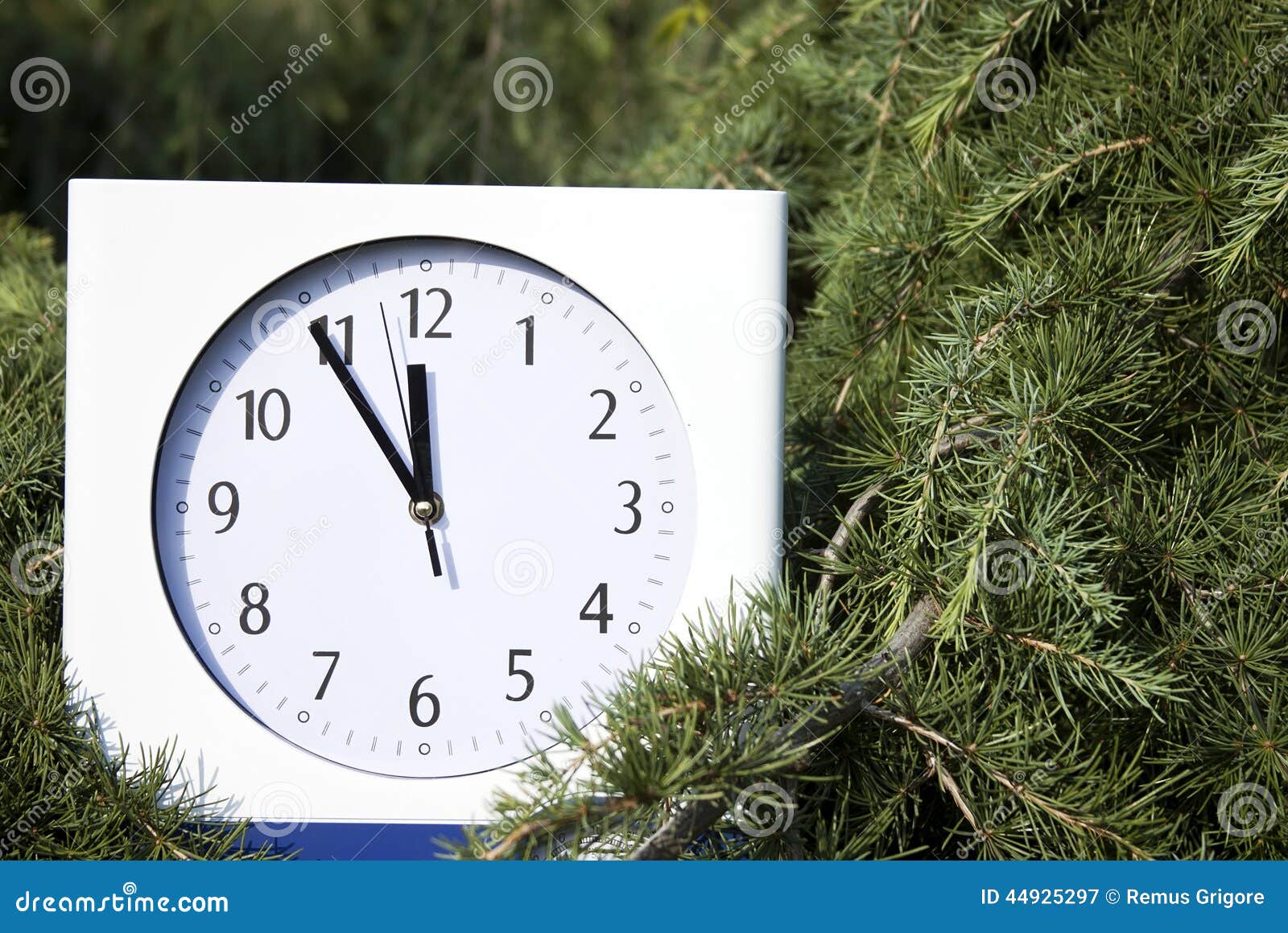 Reloj en el árbol de abeto