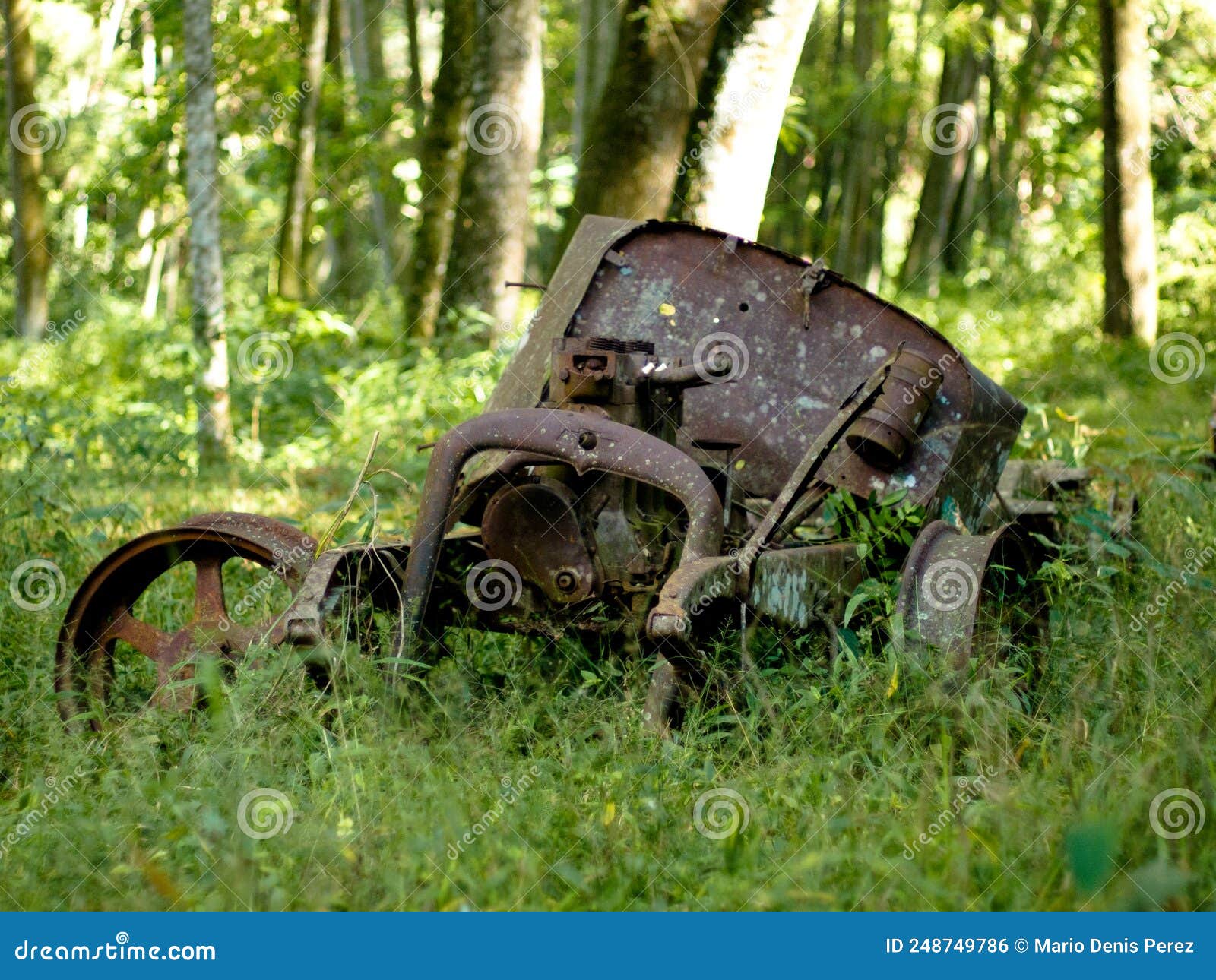 old rusted abandoned car on natural forest