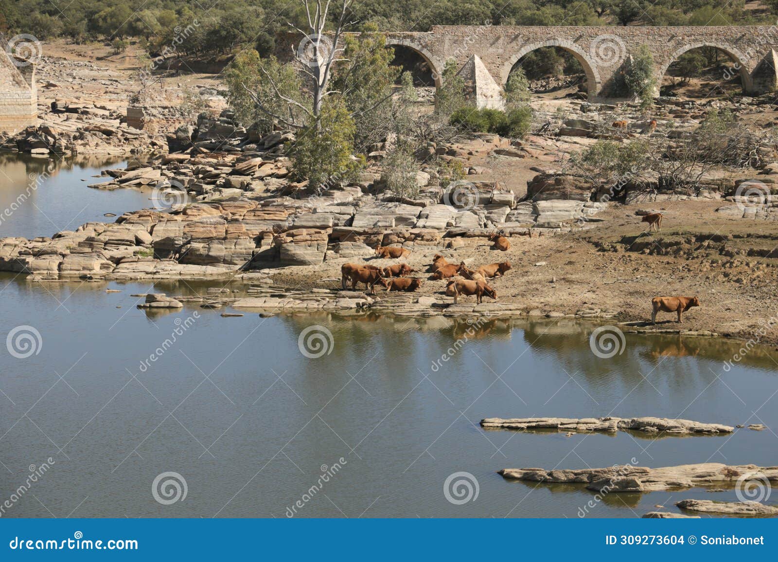 remains of the ajuda bridge over the guadiana river