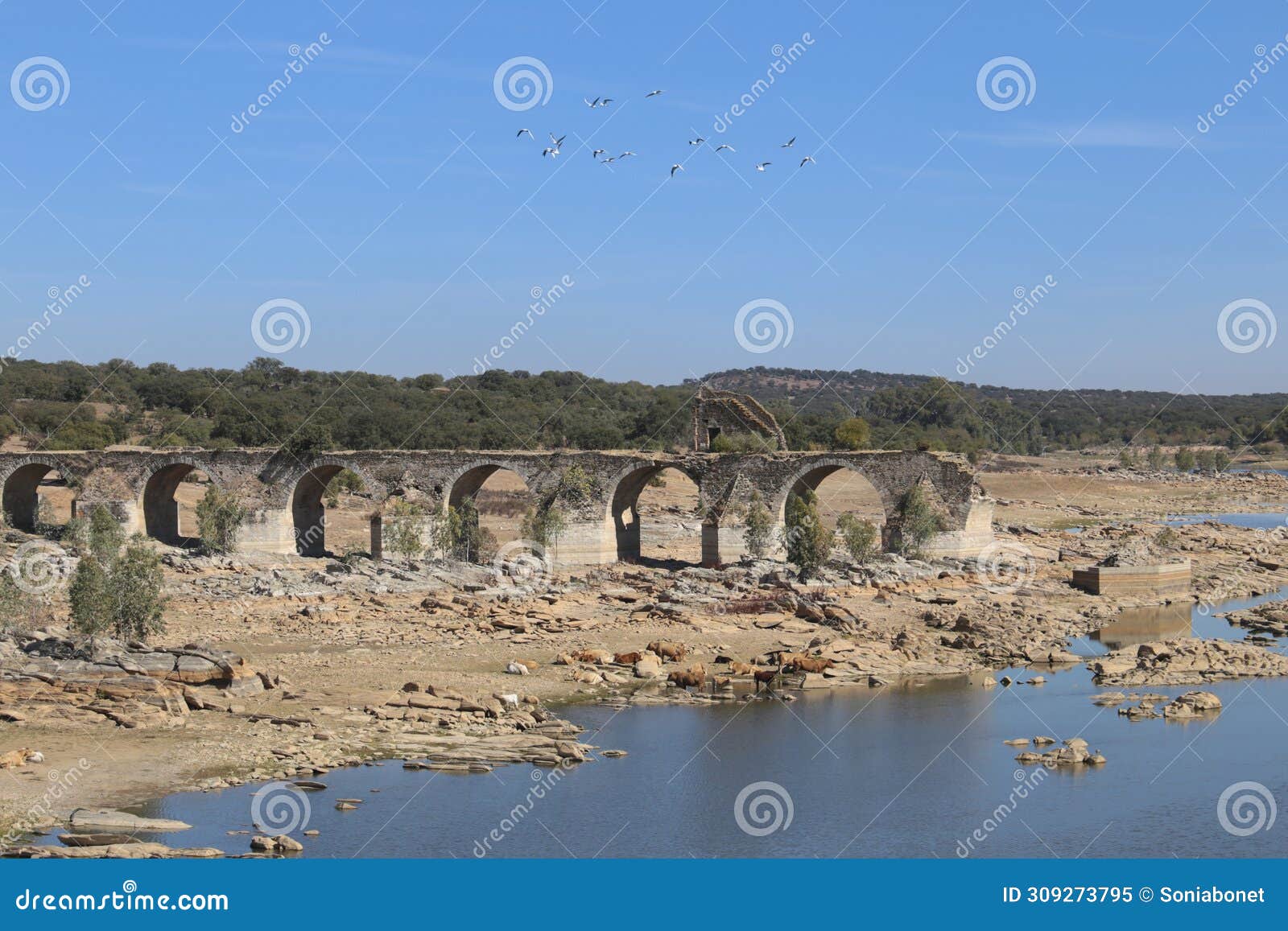 remains of the ajuda bridge over the guadiana river