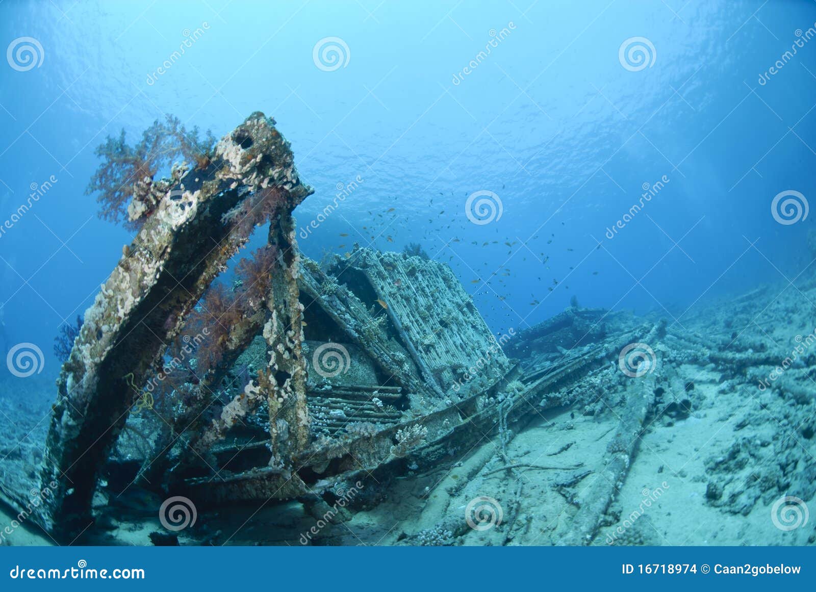 remains of the container cargo of a shipwreck.