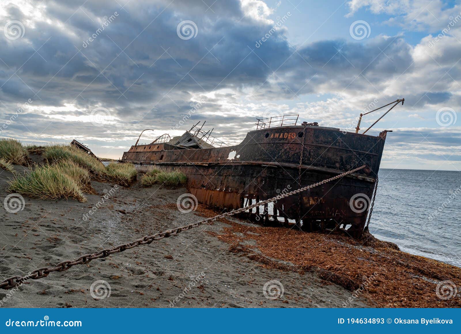 remains of the steamship amadeo at san gregorio in magellanes, southern chile