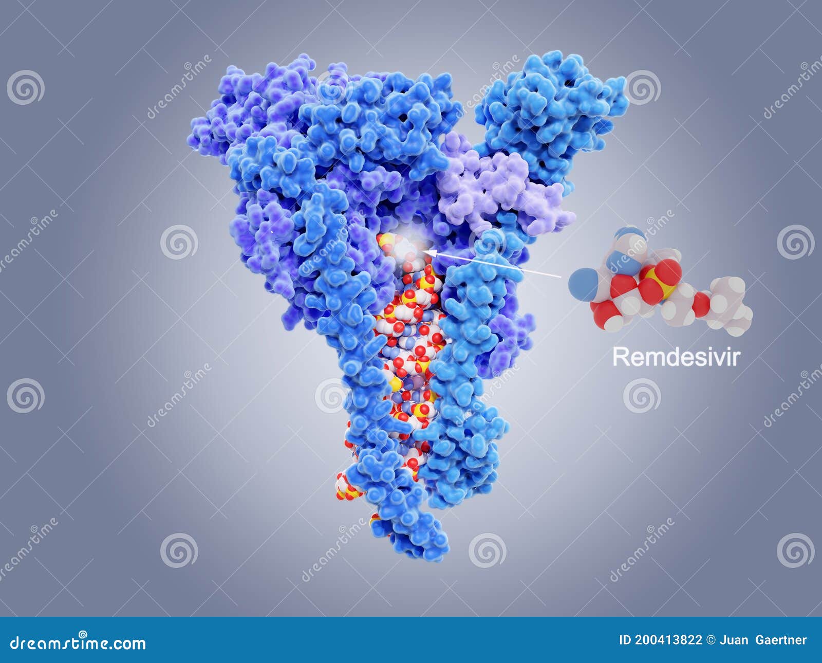 remdesivir inhibits the coronavirus rna dependent rna polymerase rdrp