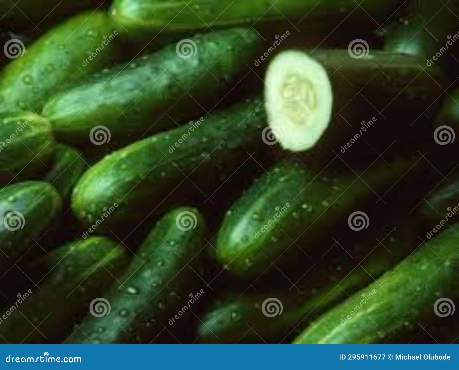 We Remember the Fish Which we Did Eat in Egypt Freely the Cucumbers and