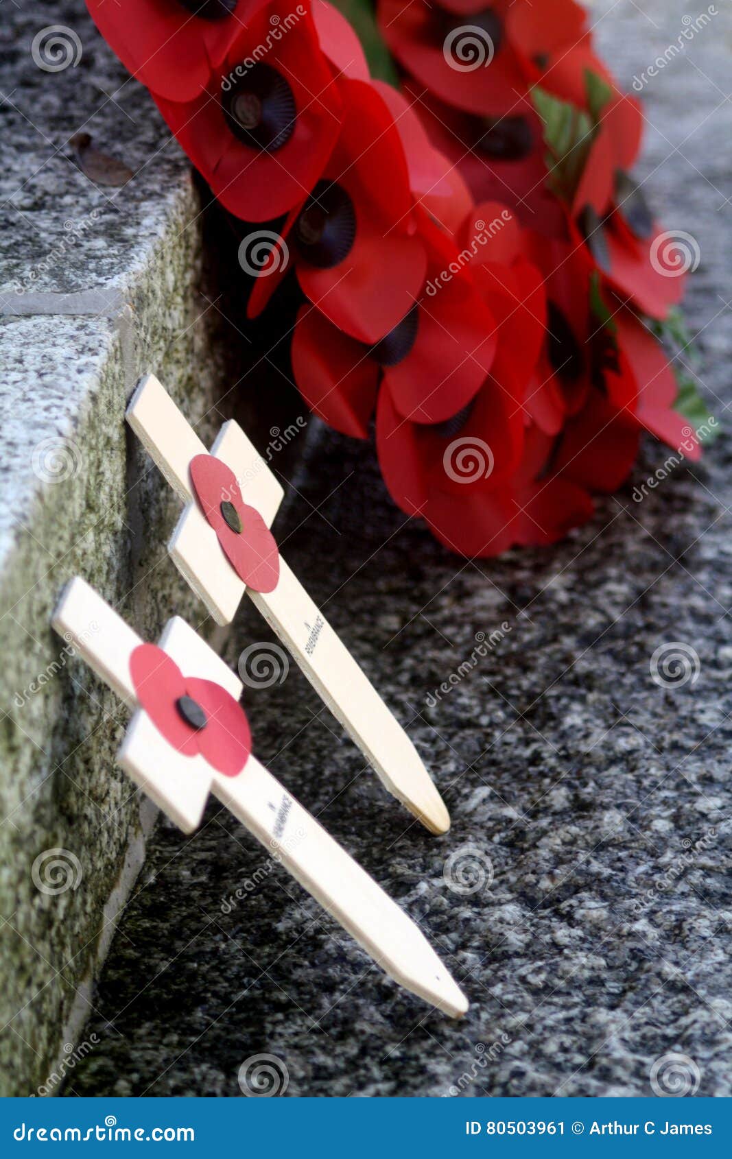 remembrance day