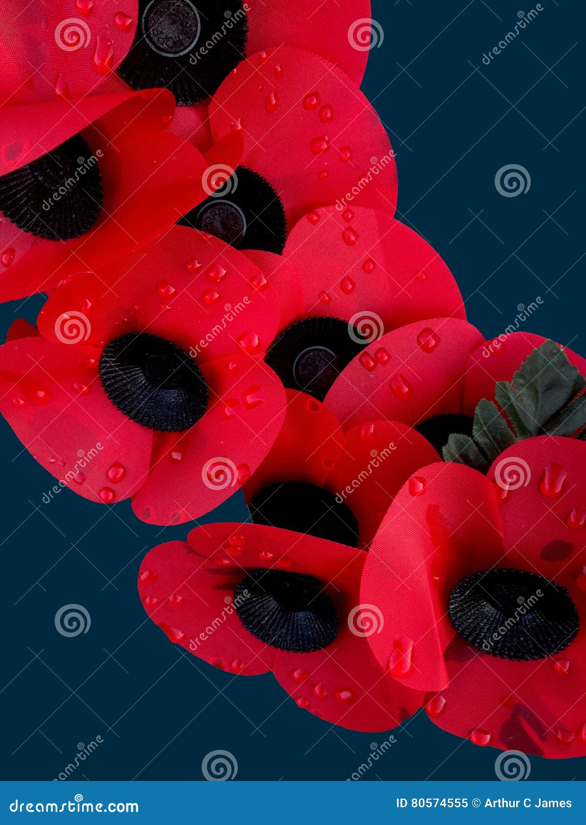 remembrance day