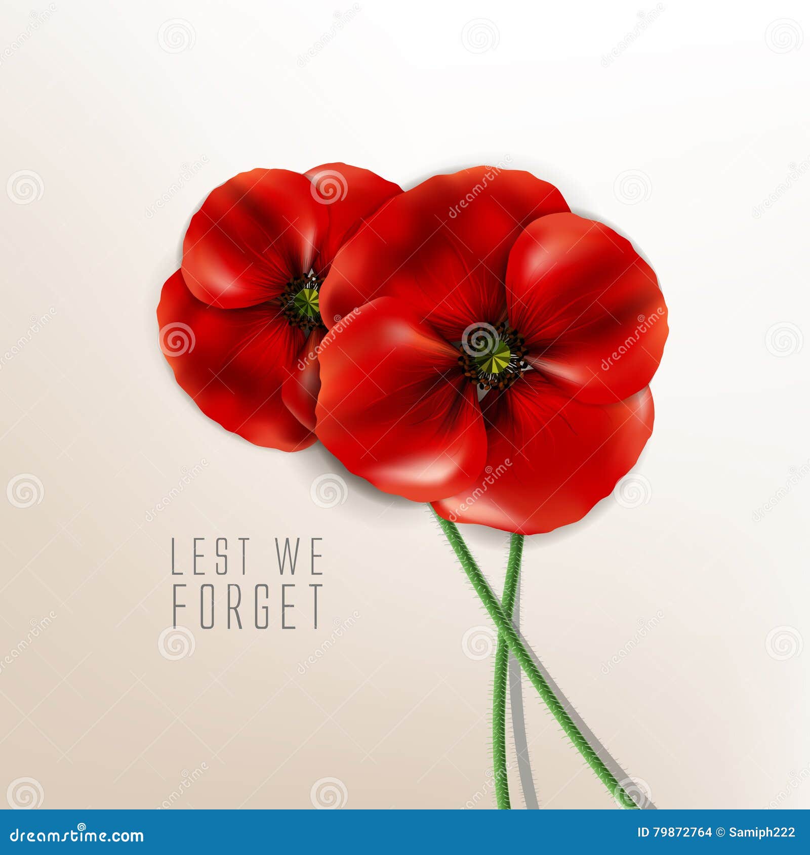 Remembrance Day - 11 November - Lest we Forget Stock Vector - Illustration  of memorial, poppy: 79872764