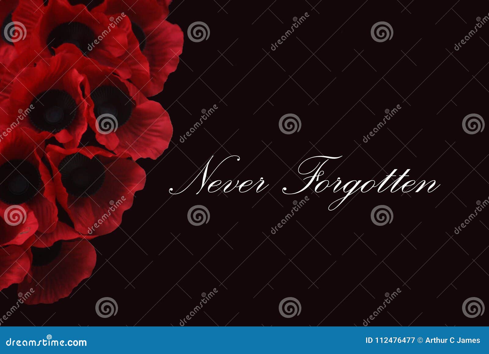 Remembrance Day Scene stock image. Image of april, armistice - 112476477