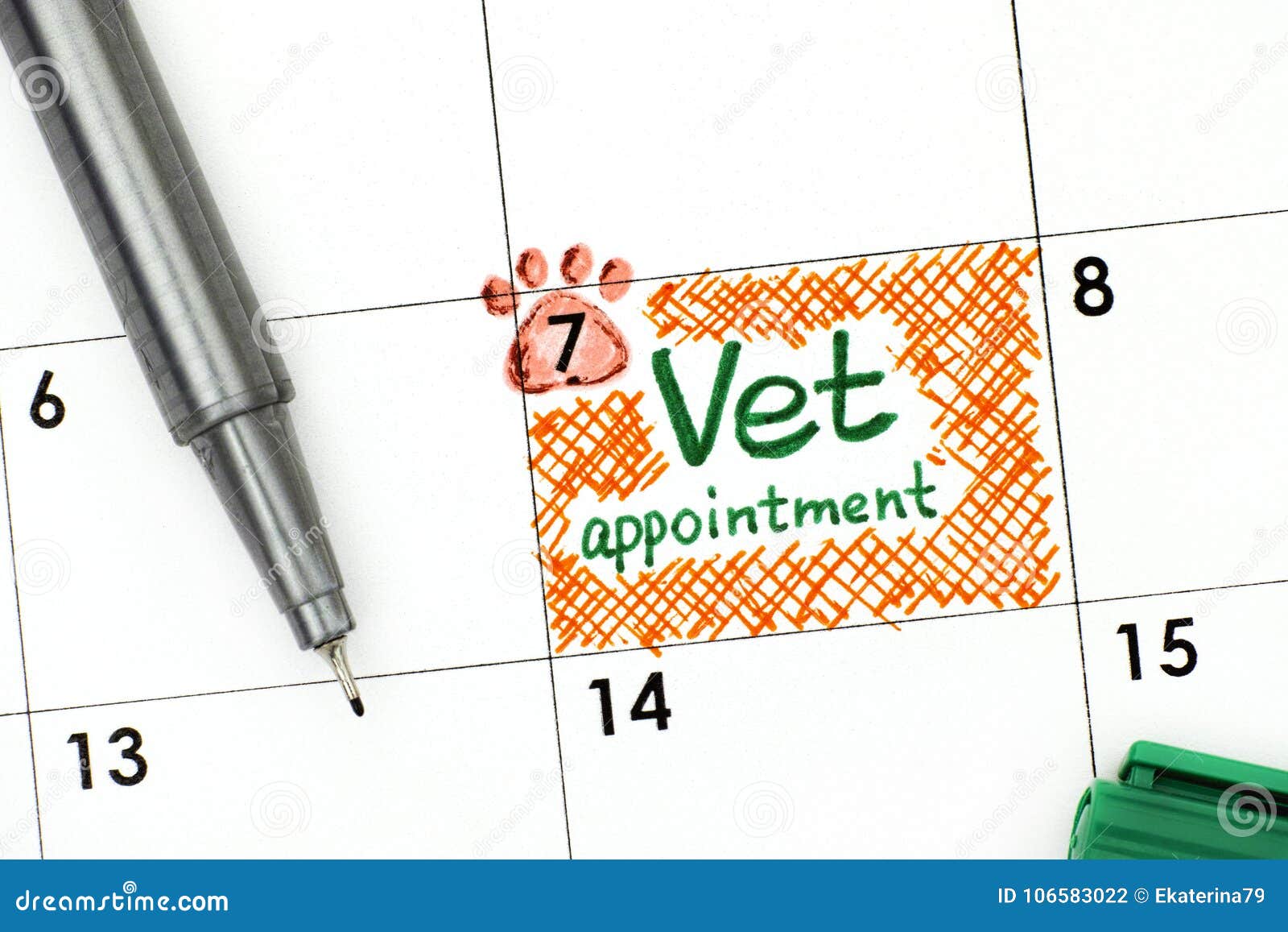 reminder vet appointment in calendar with green pen.