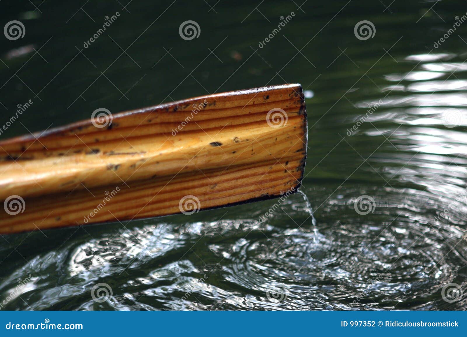 Remo del barco de Rowing. El remo del barco de fila crea ondulaciones en el río, espacio de la copia, primer,