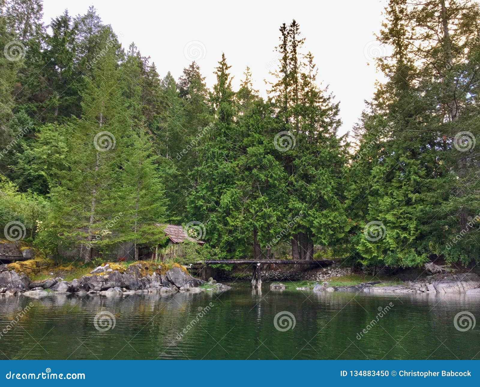 A Remote Hidden Cabin Covered by Fir Trees Stock Photo - Image of ...