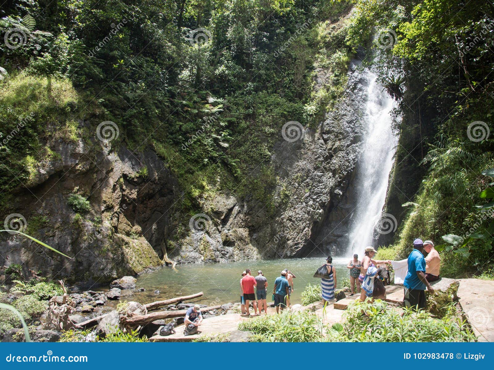 Remote Waterfall: Suva, Fiji Editorial Stock Photo - Image of 282016 ...