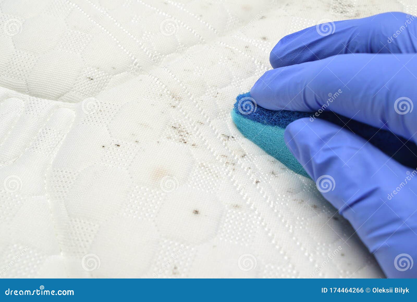 Remove Mildew Stains from the Mattress. Hand Holds a Sponge Hard Stock