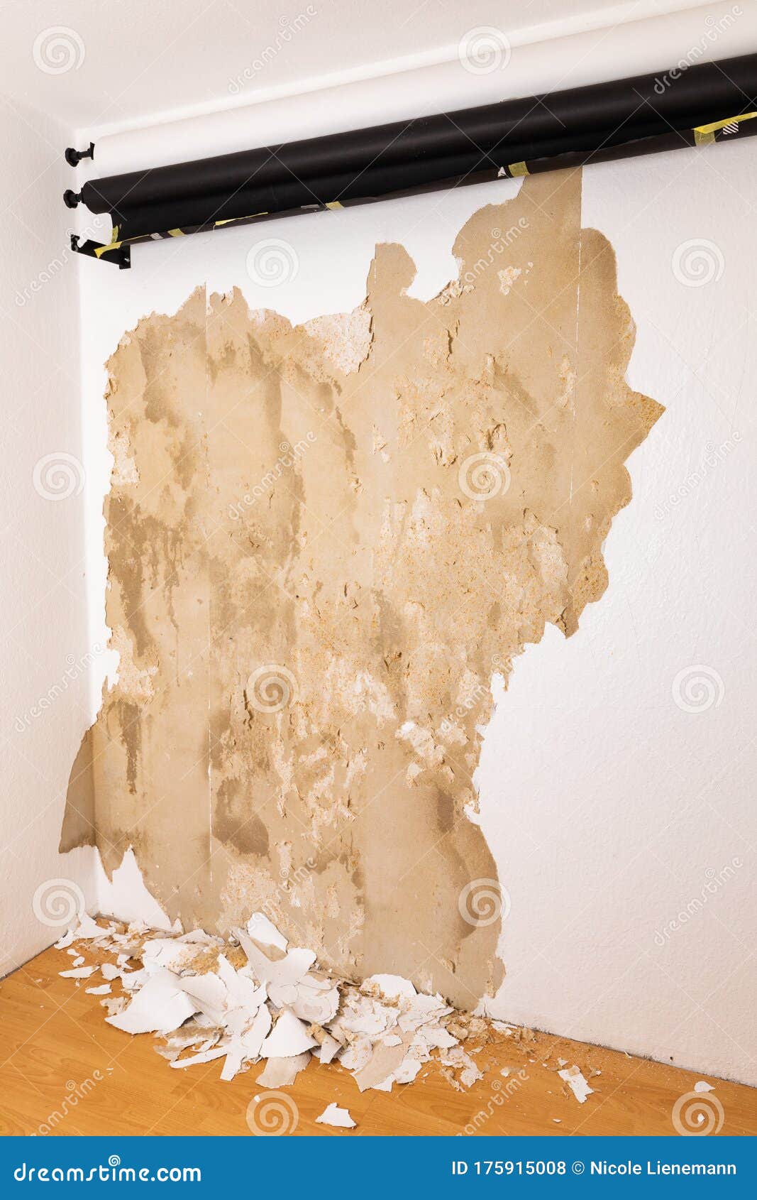 Remove an Old Wallpaper from the Wall Stock Photo Image of wallpaper