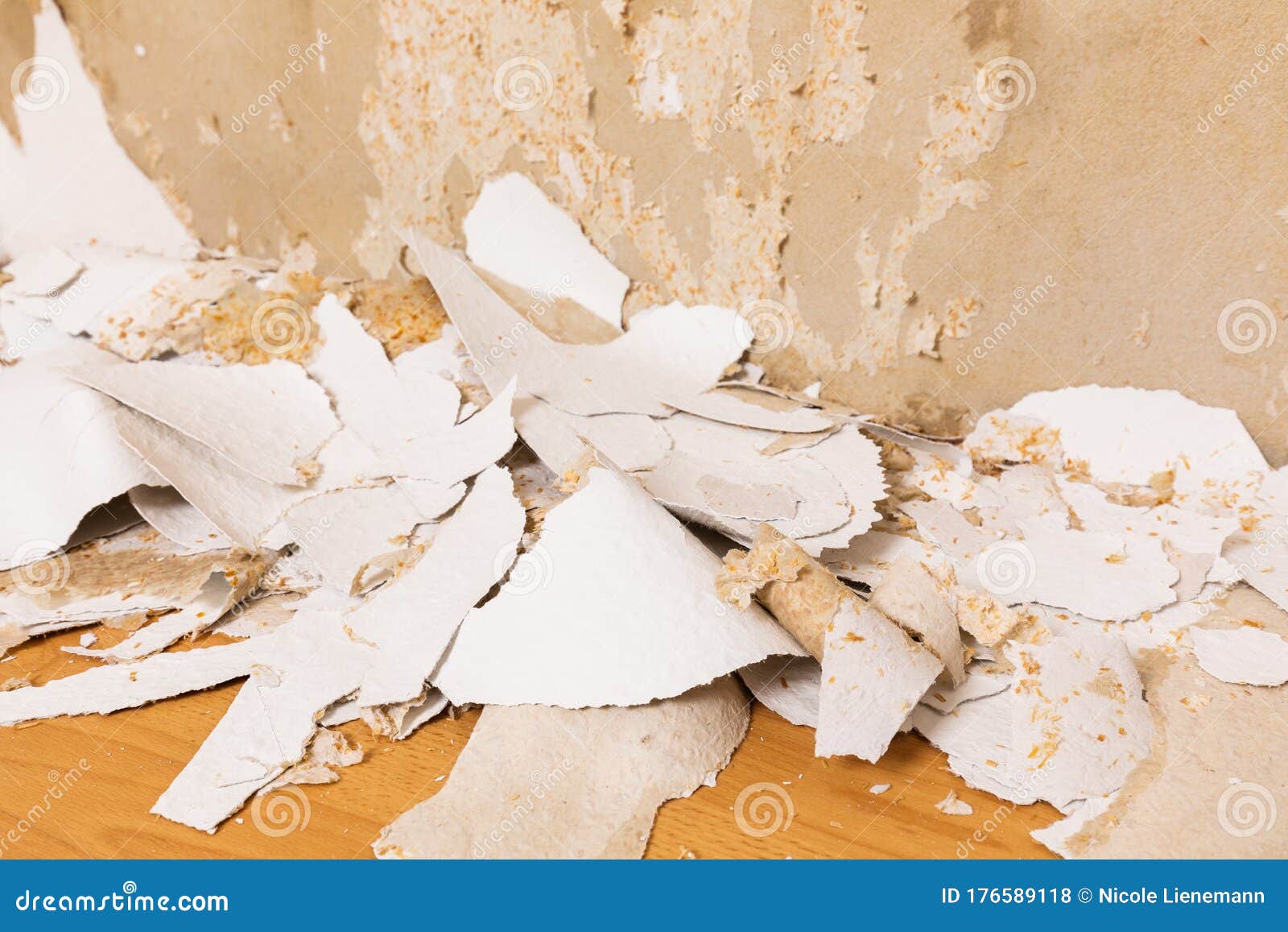Remove an Old Wallpaper from the Wall Stock Photo Image of work
