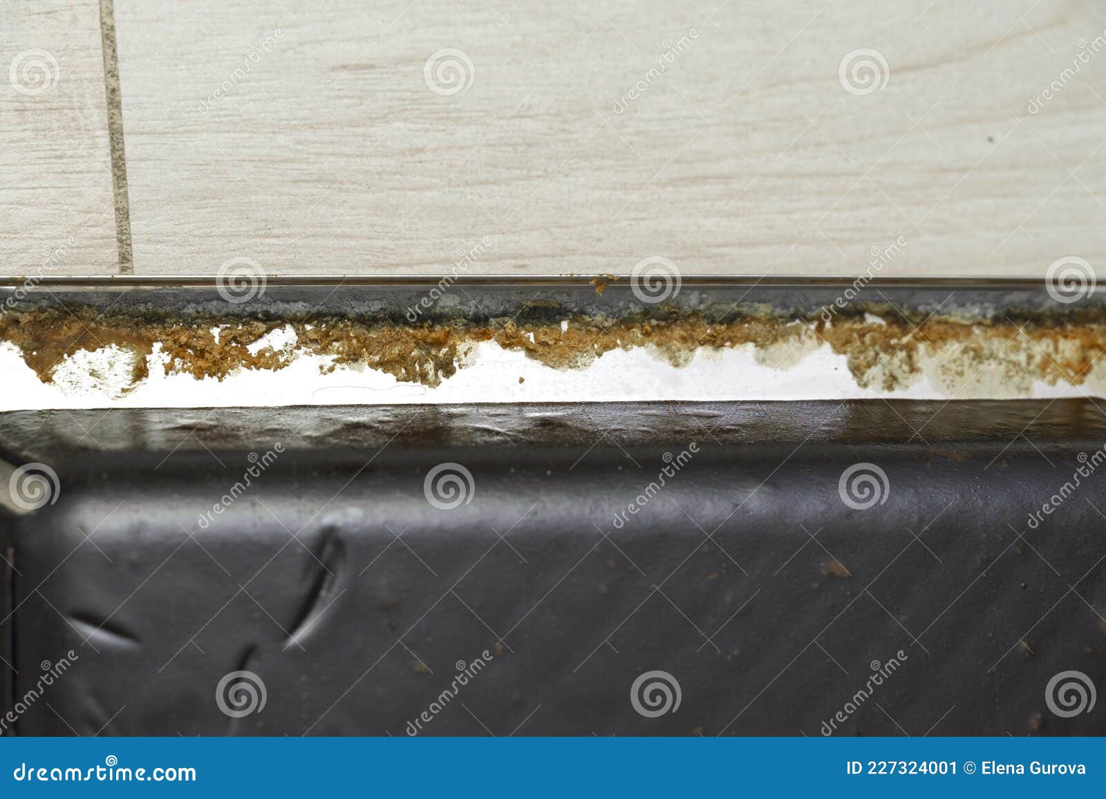 Removed Dishwasher Door with Grease. Breakdown of Kitchen Appliances