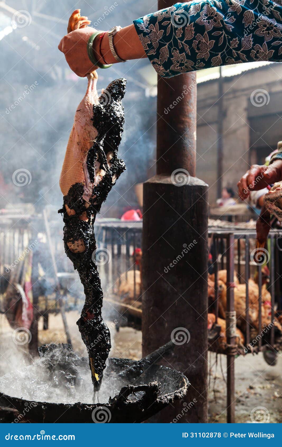 Removing Feathers from a Peking Duck in Hot Tar Stock Photo Image of