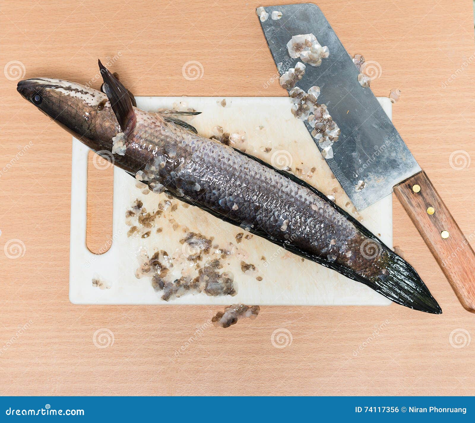Removing Fish Scales for Cooking Stock Photo Image of preparation