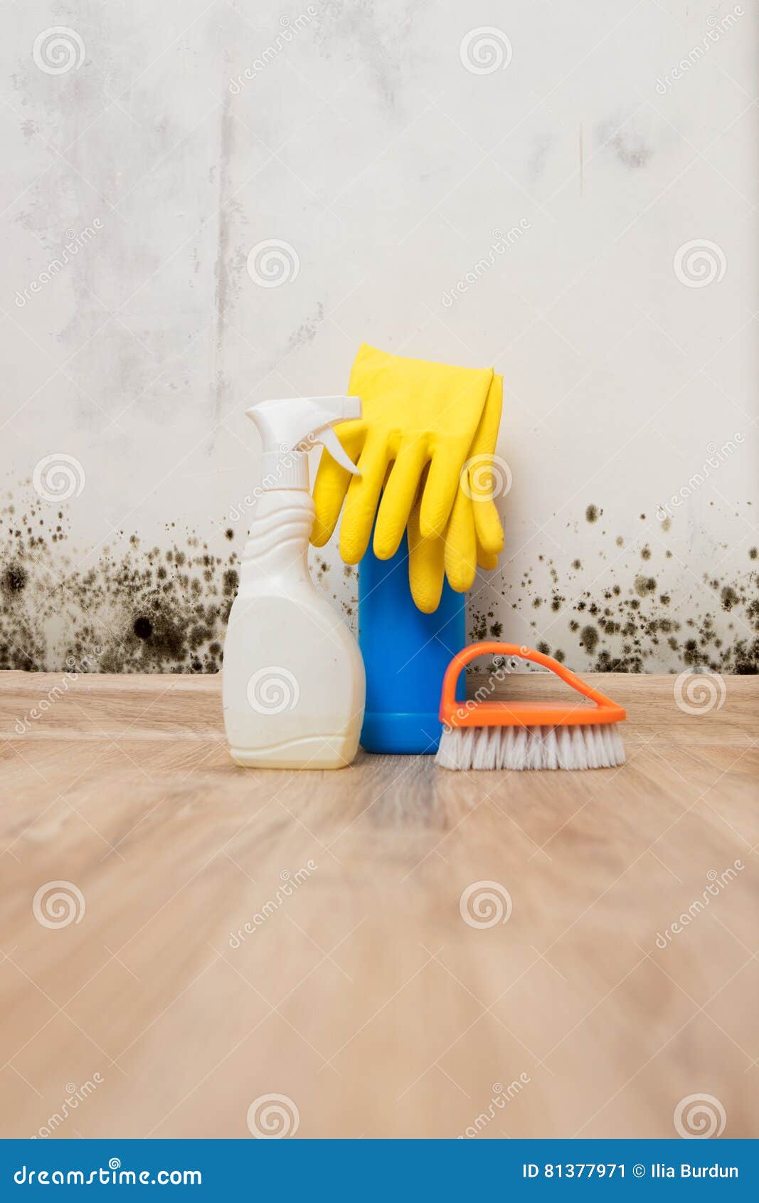 Removing Mold With A Foam Cleaner. Cleaning A Mattress Cloth With A