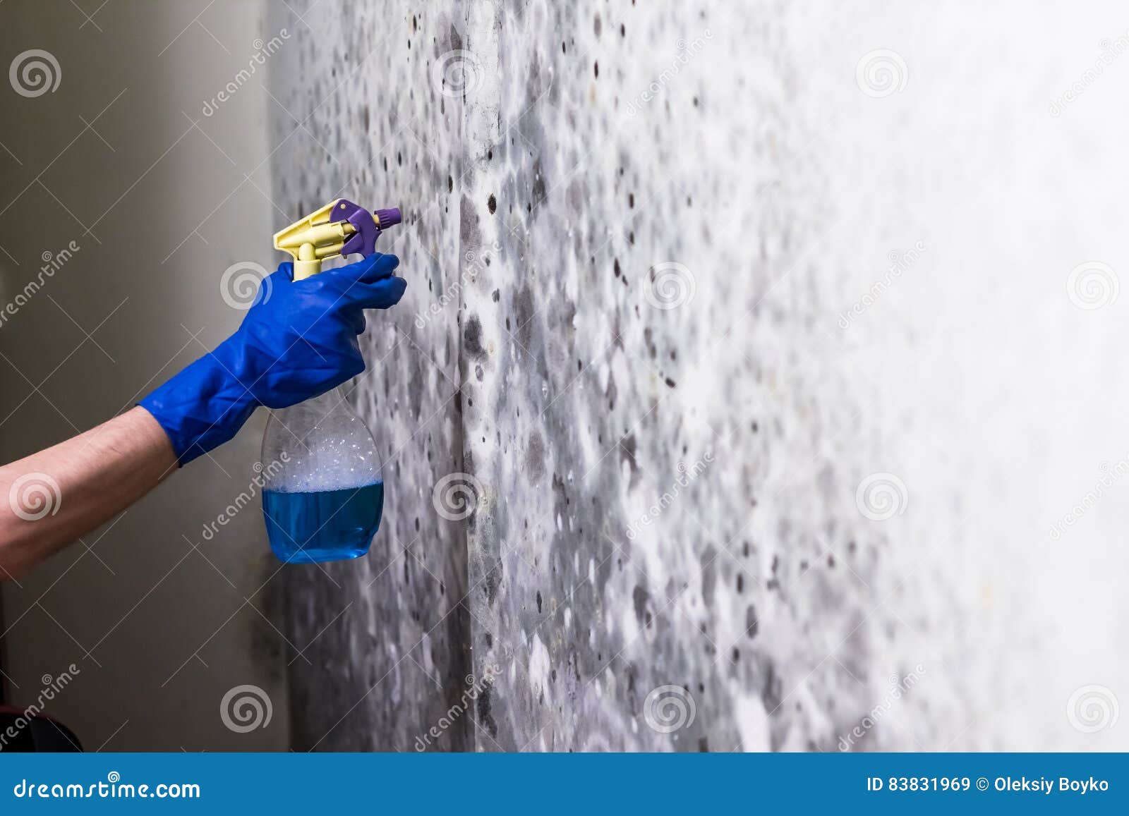 Removing Mold On The Wall In Room Stock Image - Image of texture