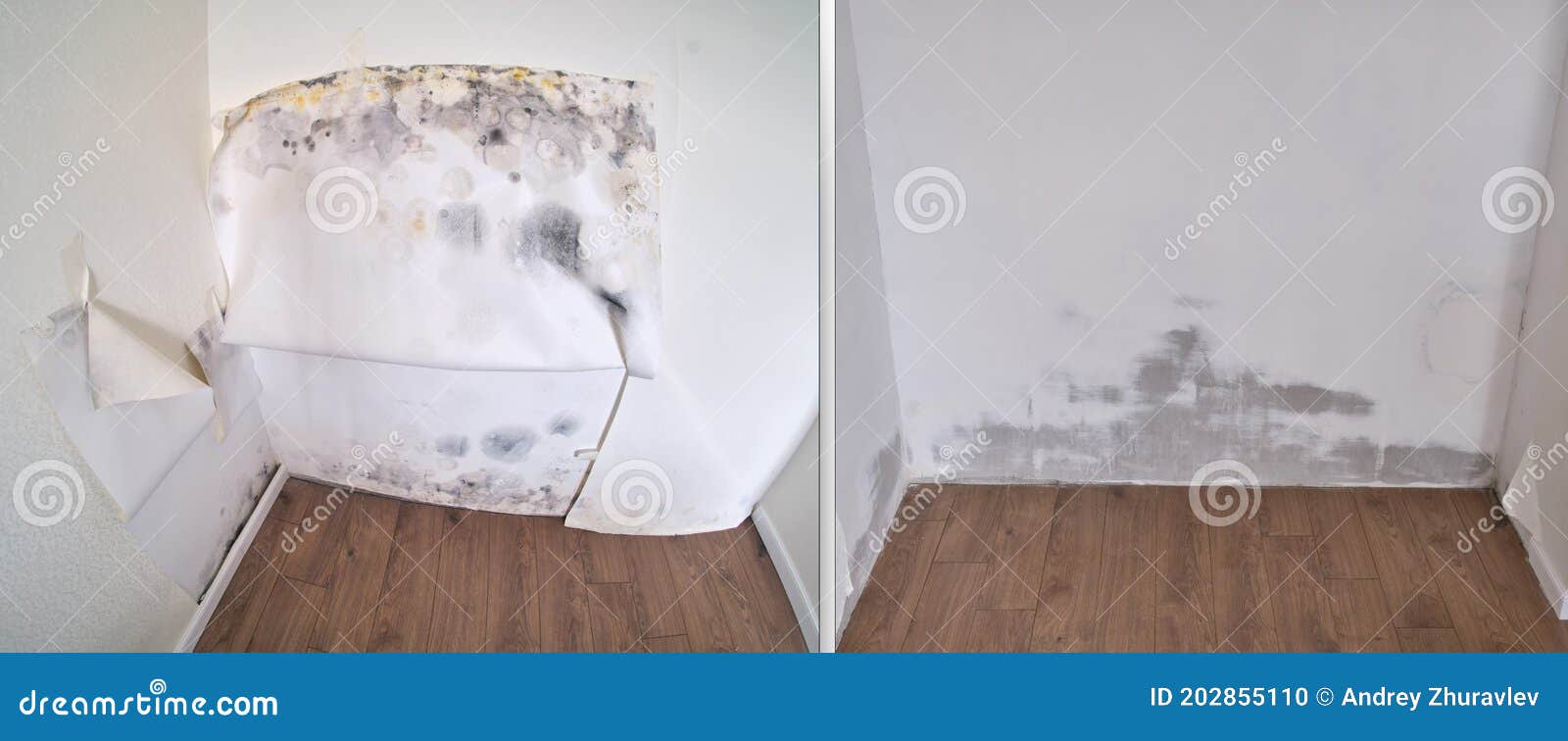 Removing Wallpaper Due To Mold and Cleaning Plaster on the Wall