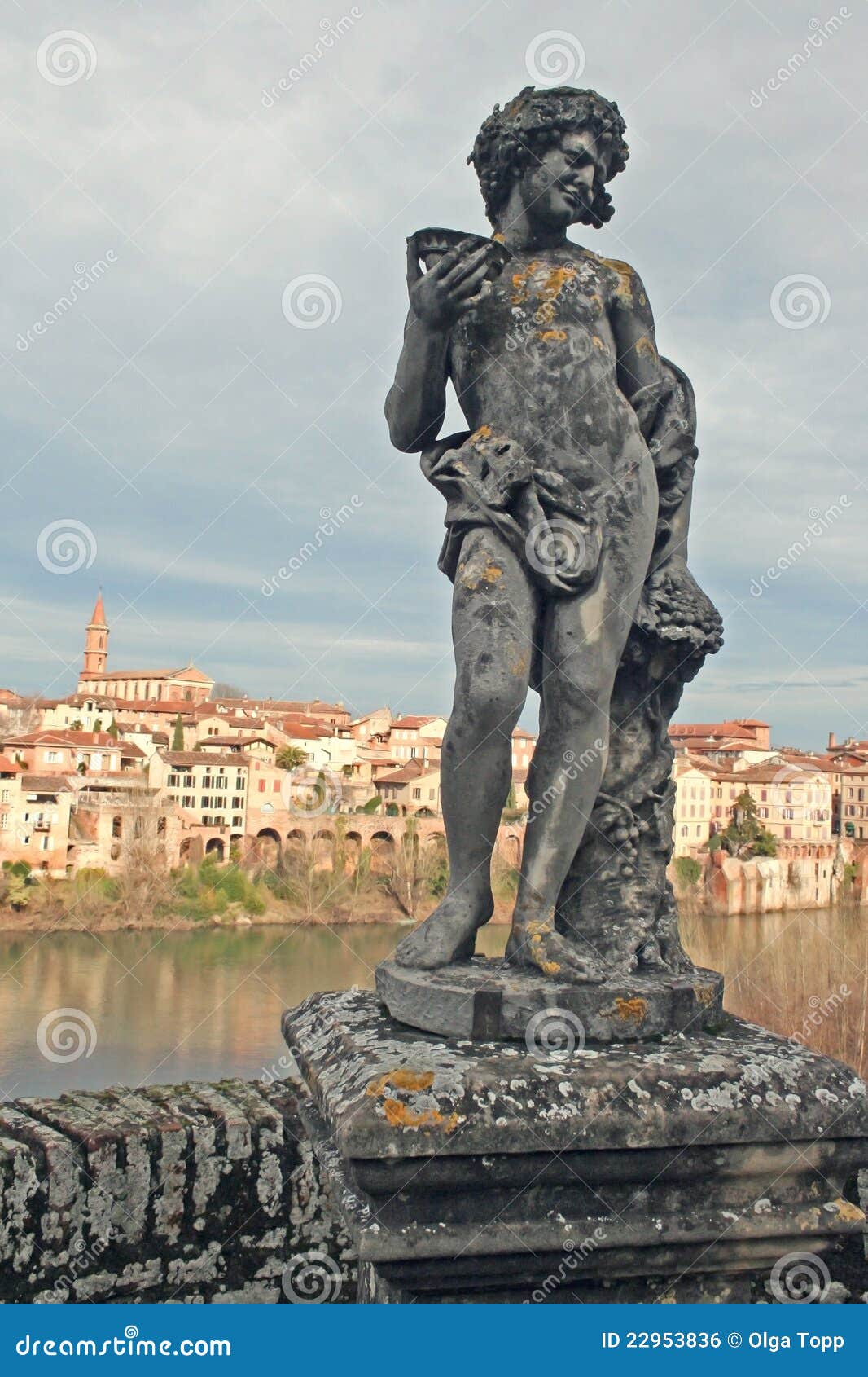 renaissance statue with albi town and tarn river