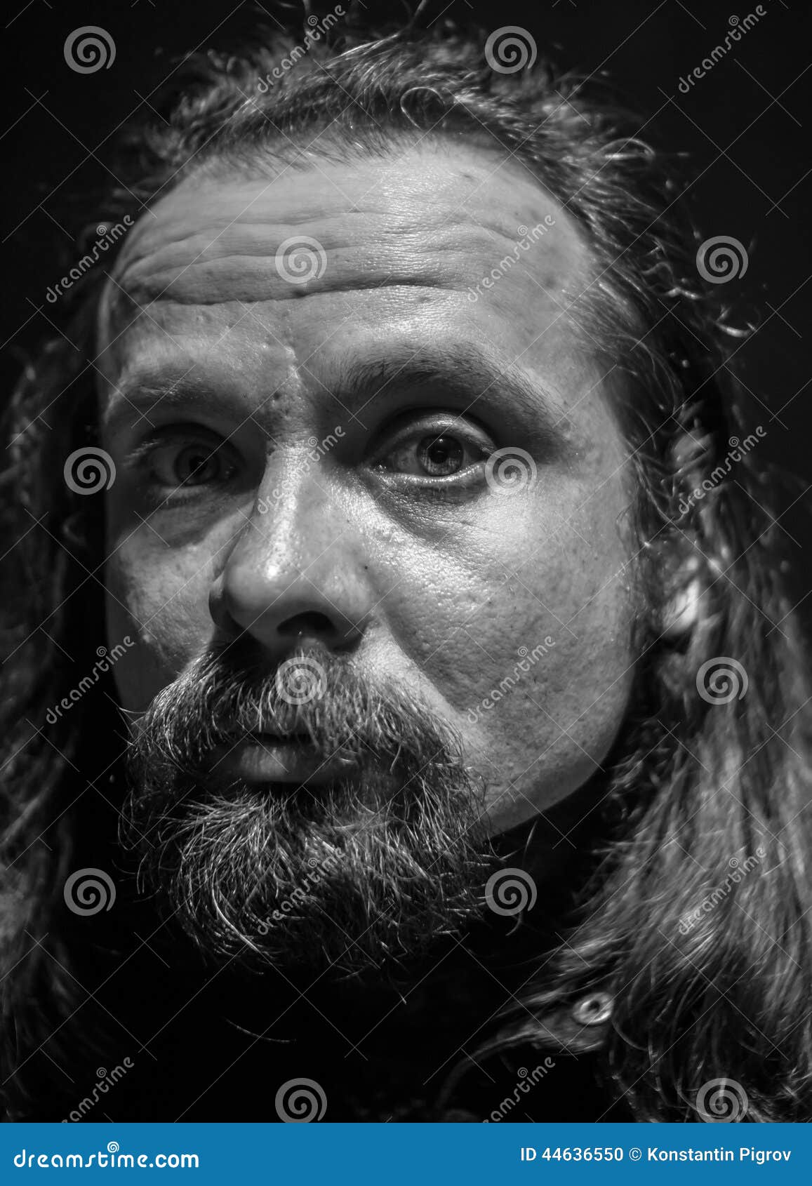 the renaissance style male portrait stock photo - image of