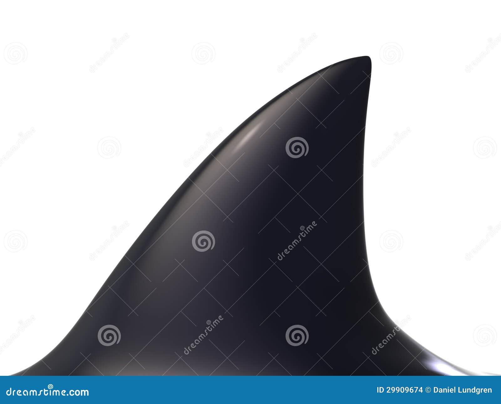 3d shark fin