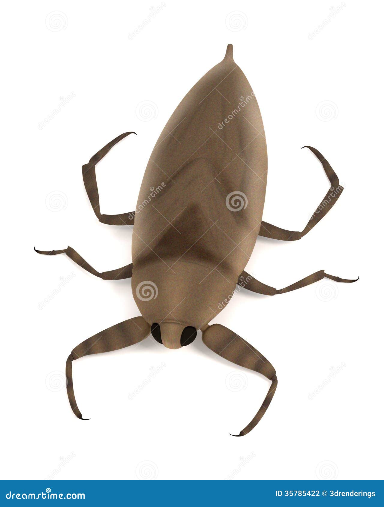 Render of giant water bug stock illustration. Illustration of