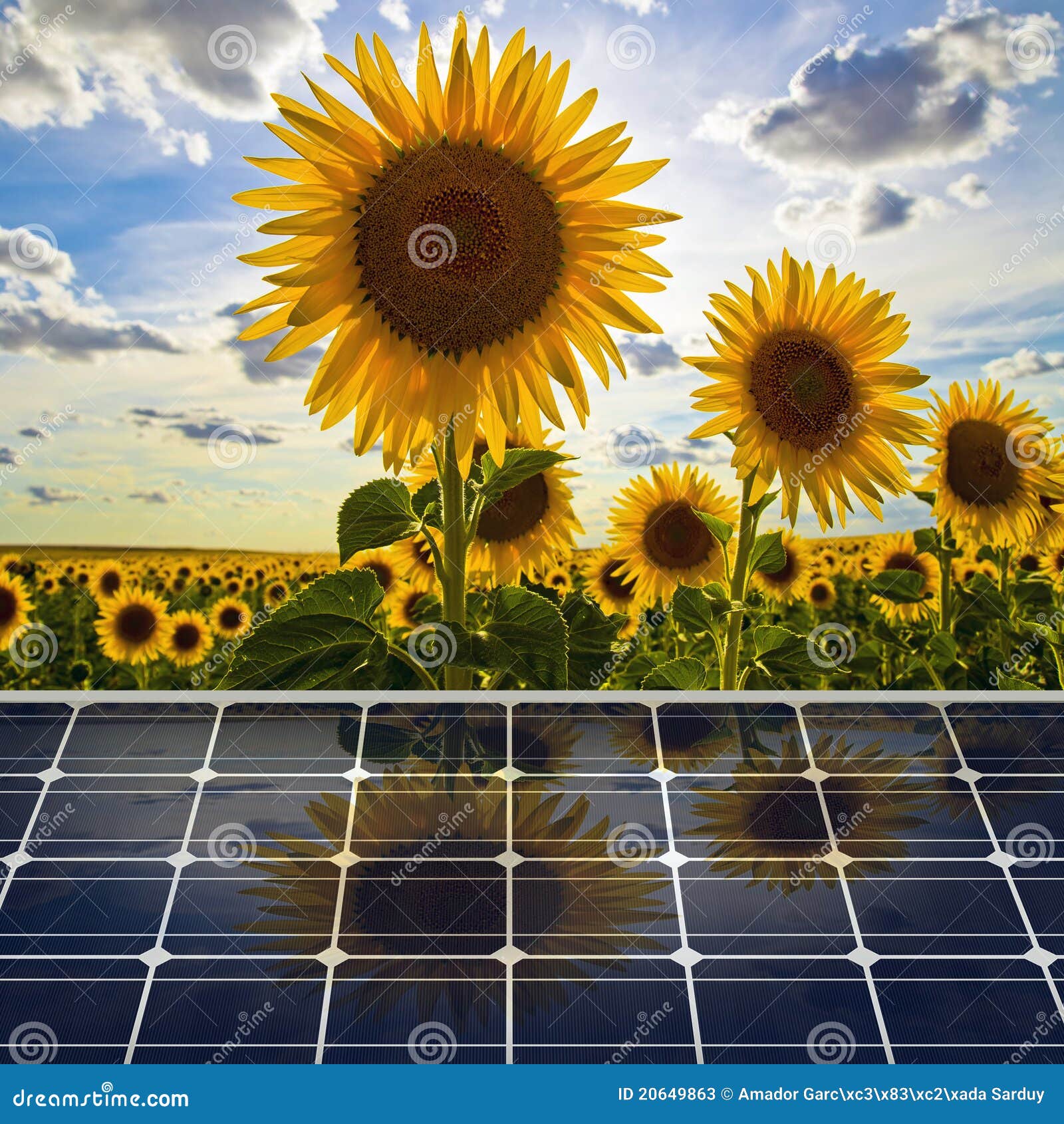 Renewable energy stock image. Image of landscape, electricity 20649863