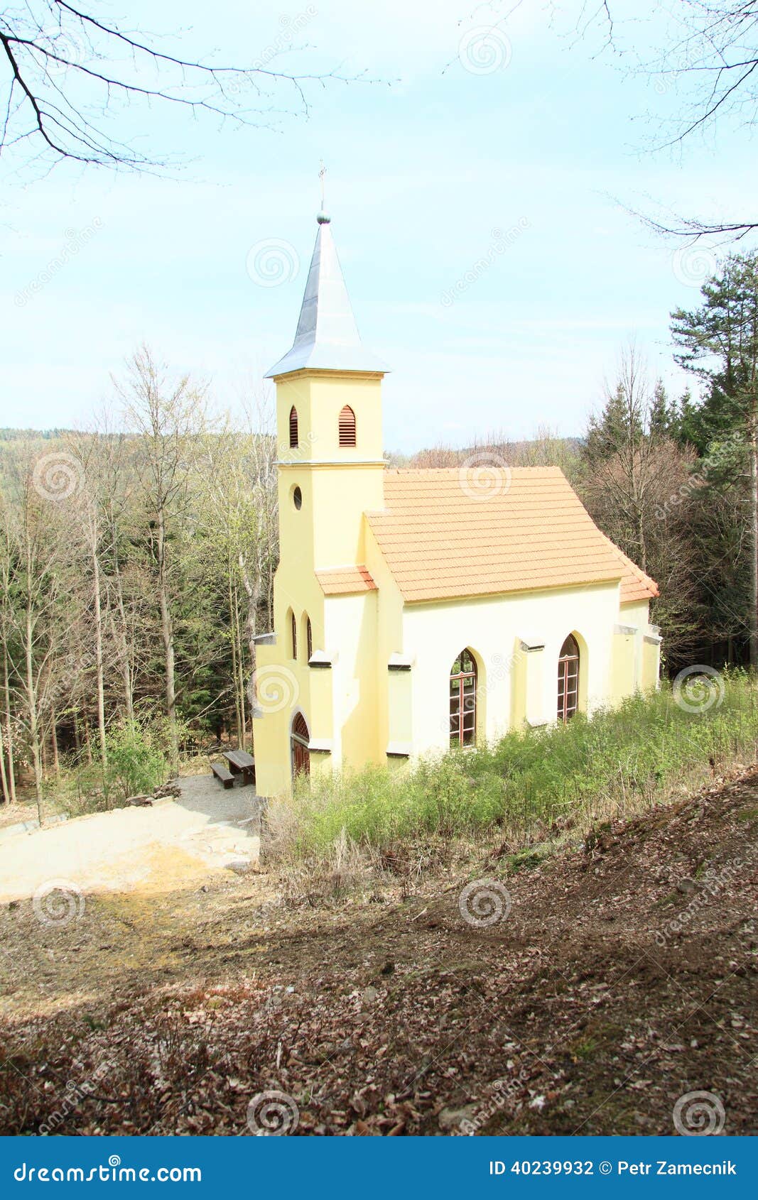 renewed church in forest