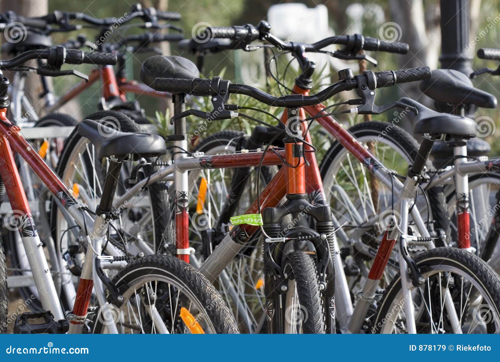 rent a bike price