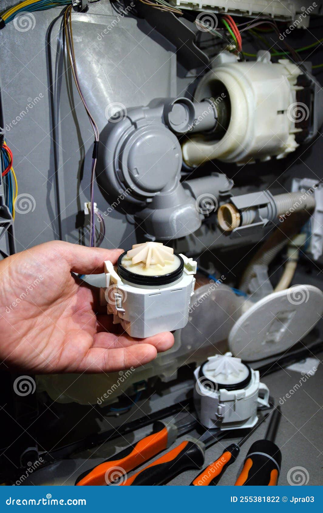 Repair of a dishwasher stock photo. Image of broken 255381822