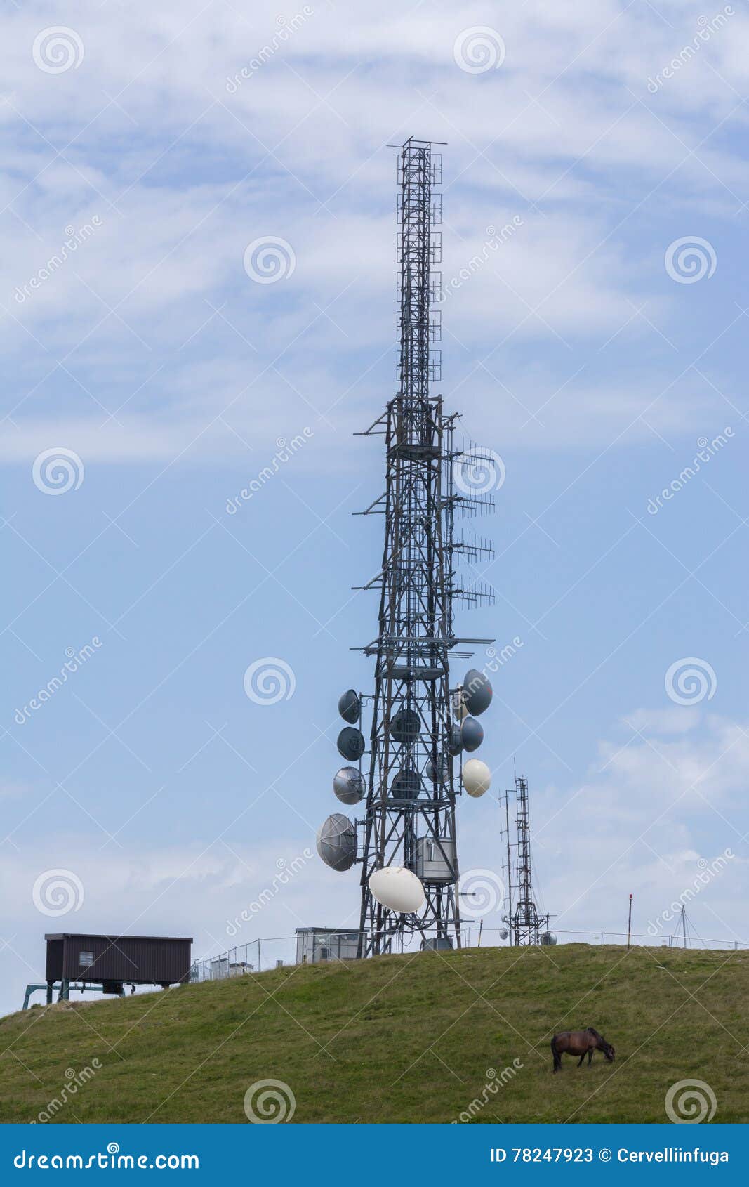 Repeater Antenna for Phones Stock Image Image of cell, receiver 78247923