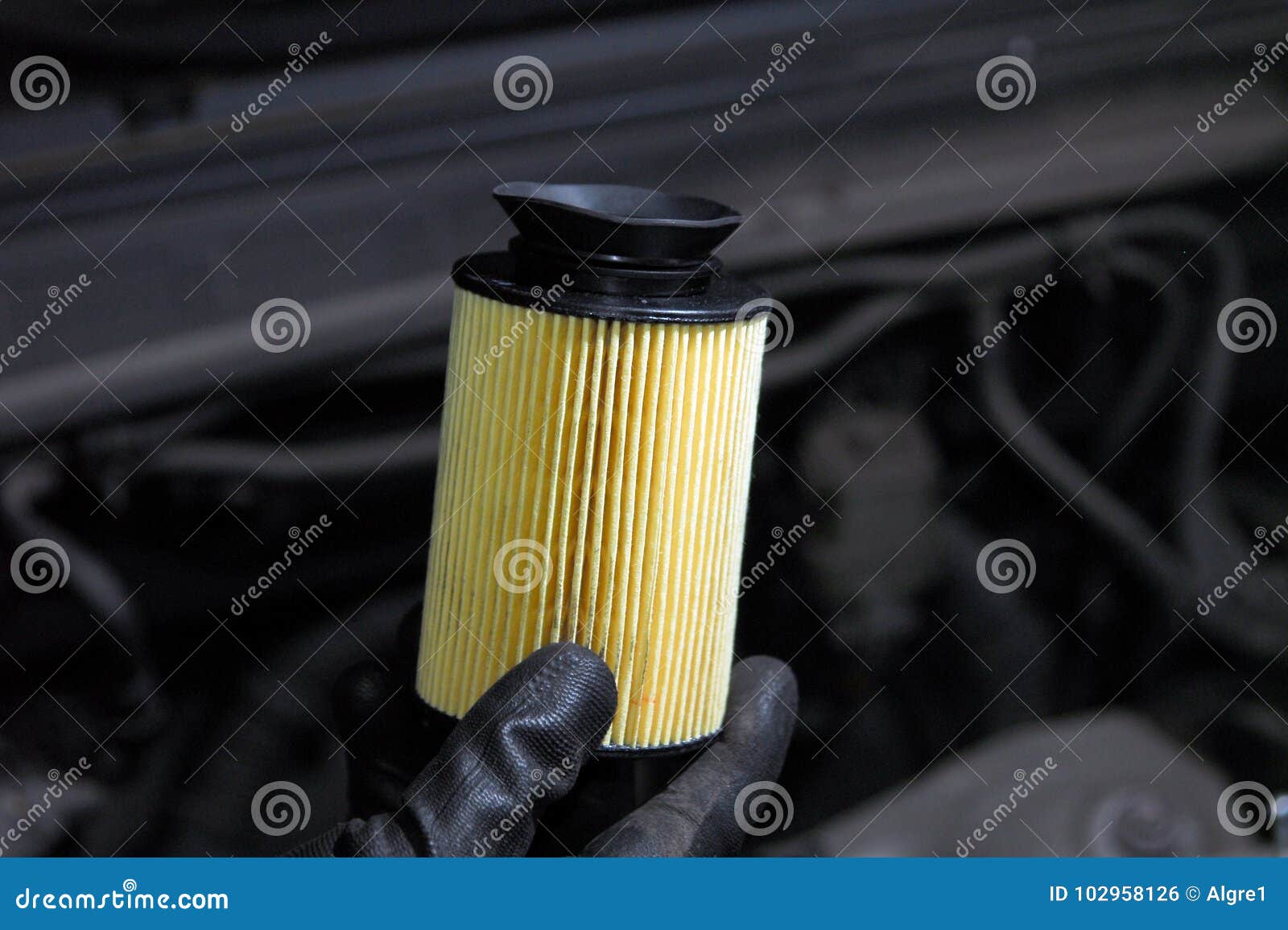 Replacement of oil filter stock photo. Image of filter 102958126