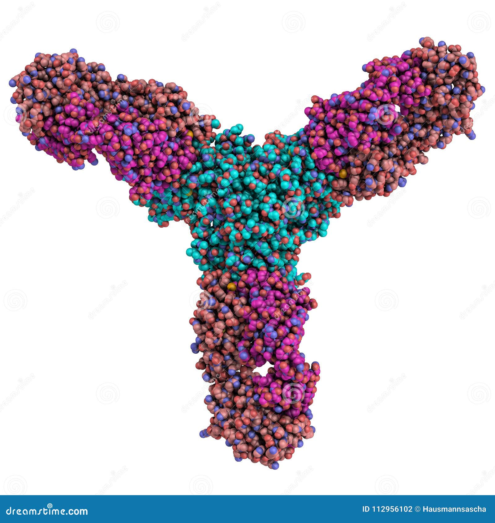 Representation of a Trimeric Ebola Virus Glycoprotein in Complex with a