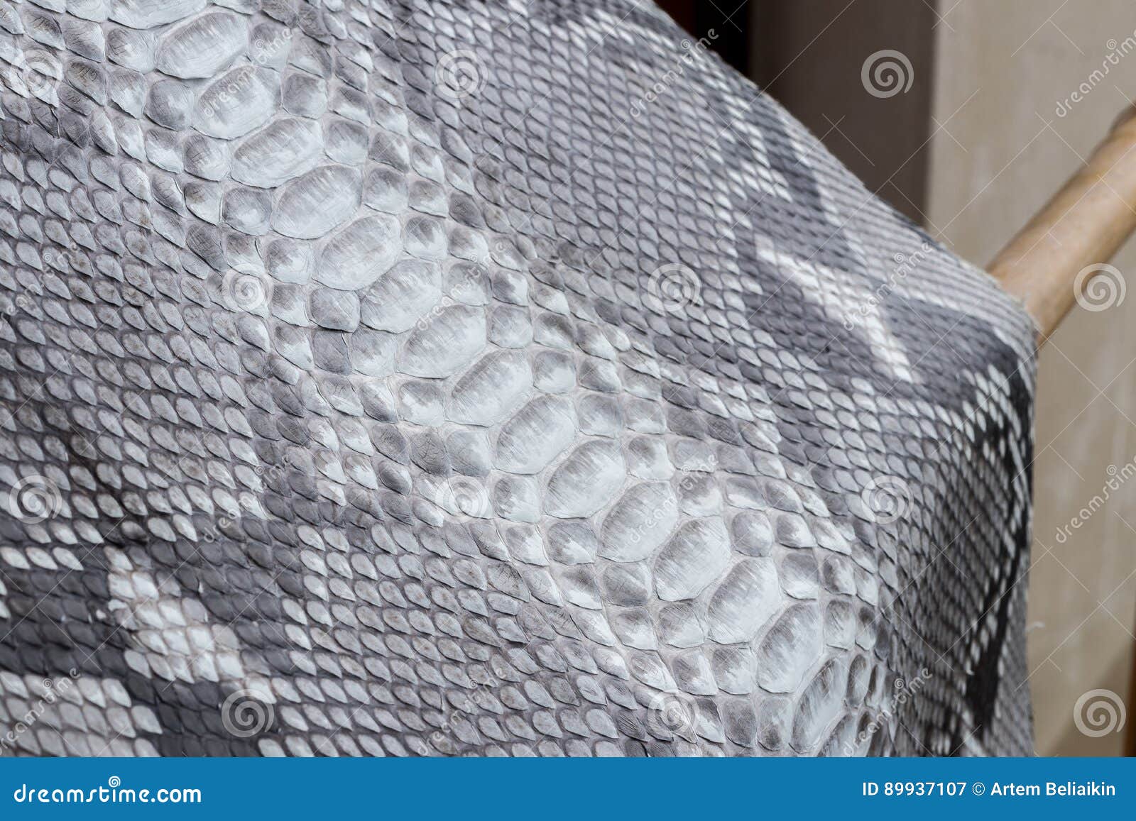 Reptile Snake Texture Closeup, Fashion Zigzag Snakeskin Python Picture