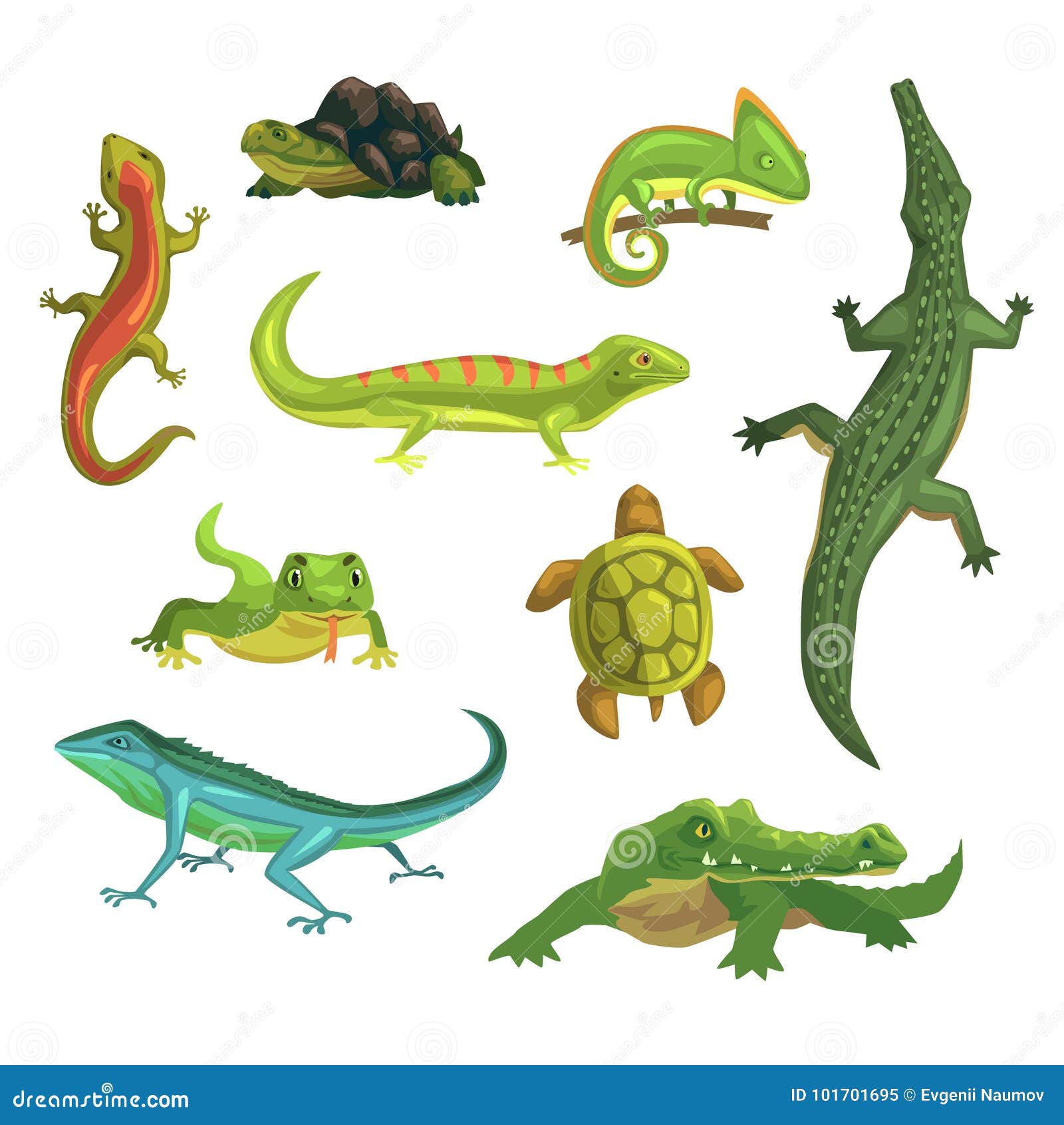 Resultado de imagen de reptiles ejemplos
